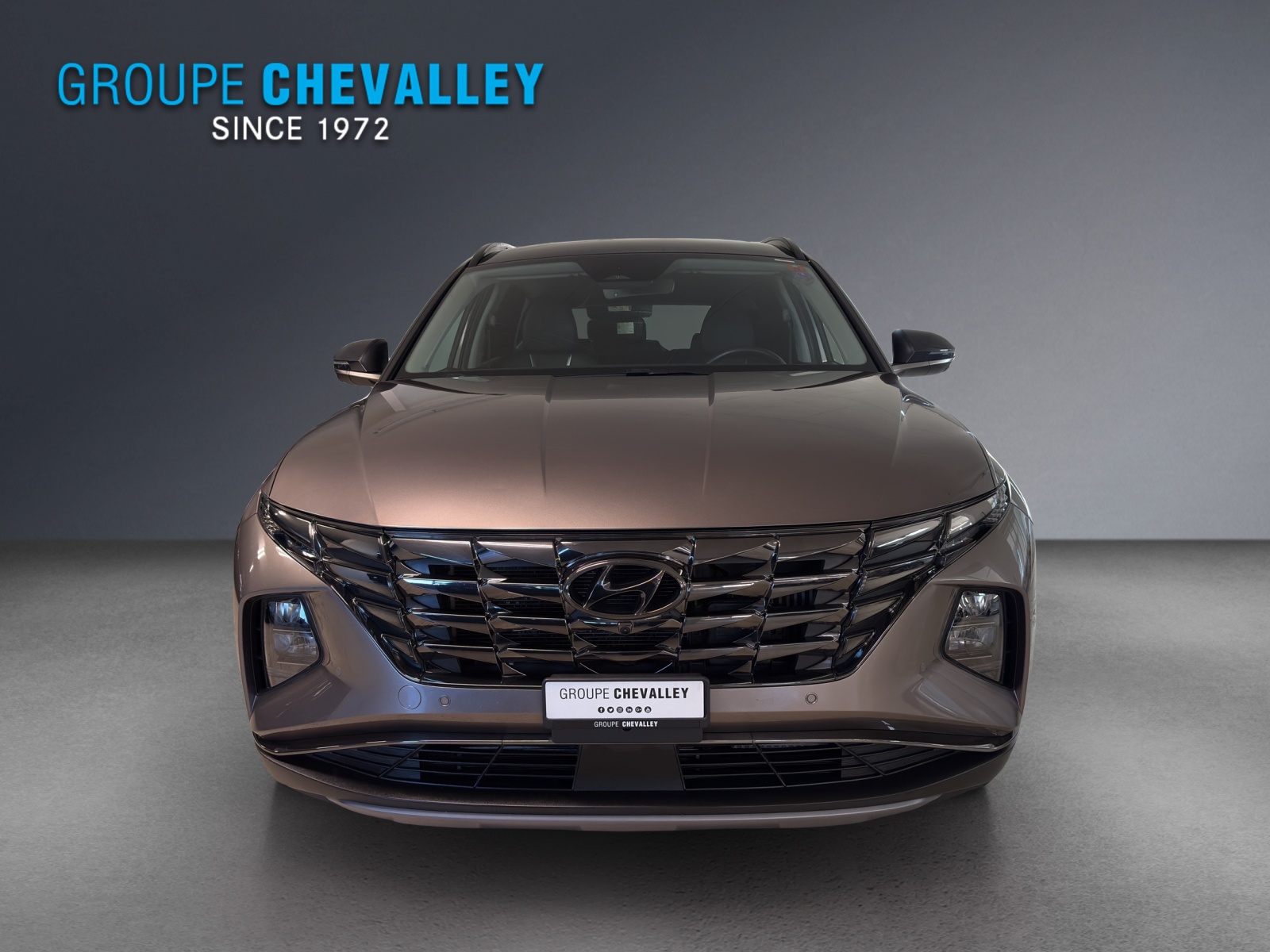 Image HYUNDAI TUCSON Tucson 1.6 HEV Vertex 4WD