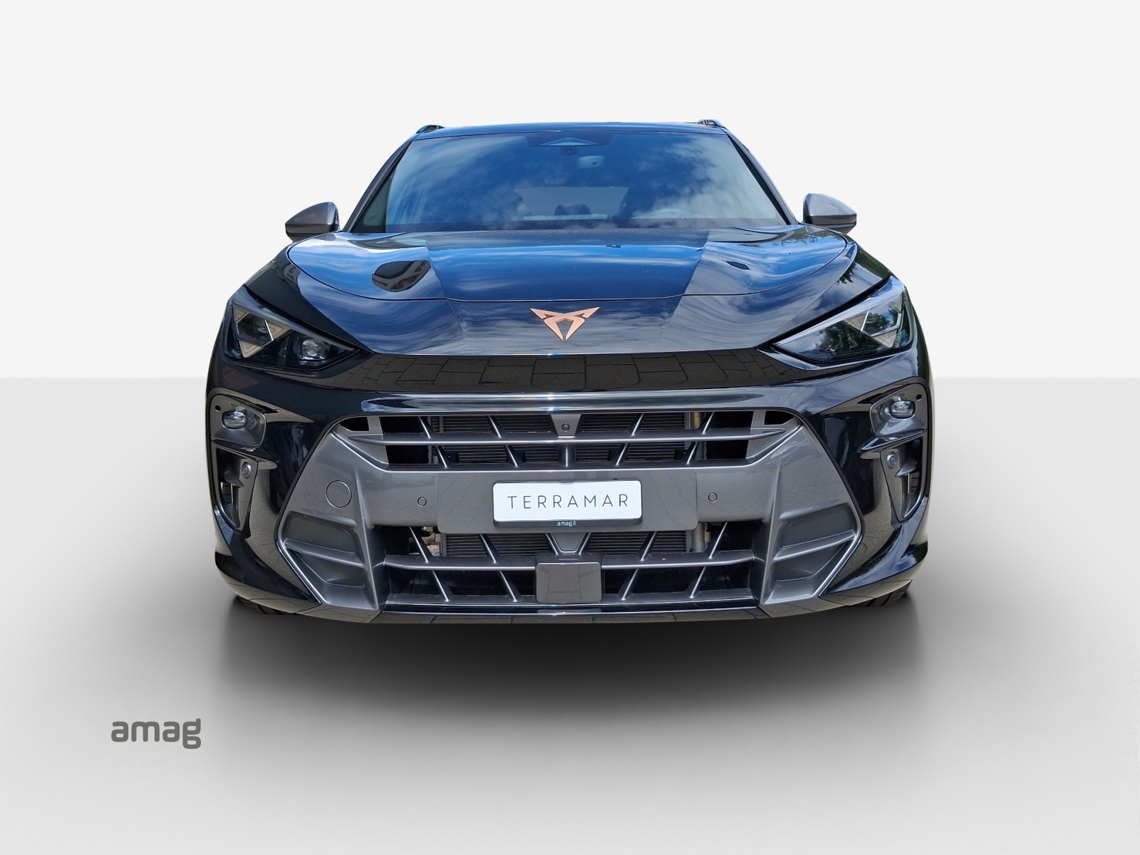CUPRA Terramar 1.5 eHybrid DSG VZ-image-6