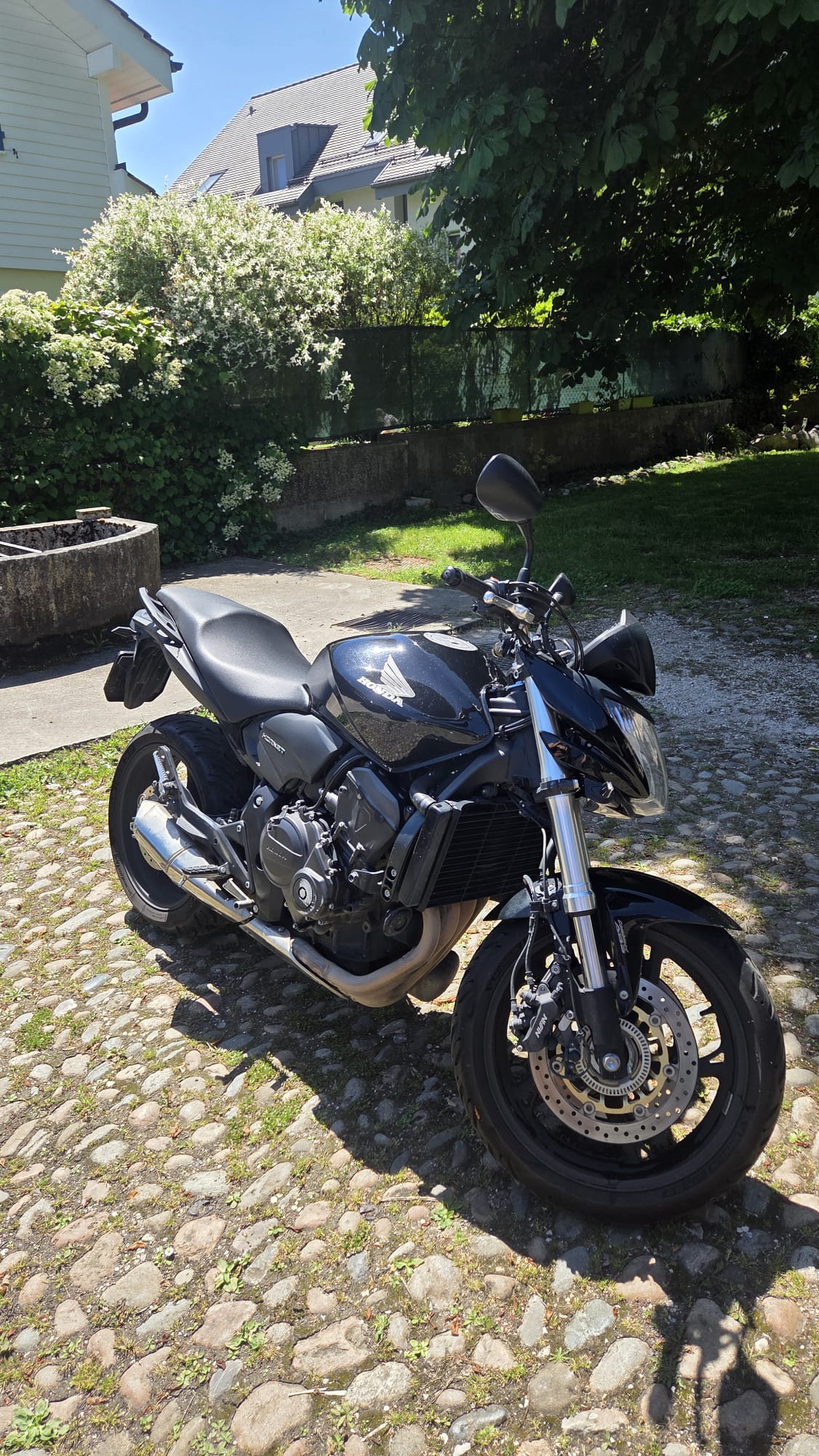 HONDA CB 600 F ABS Hornet-image-3