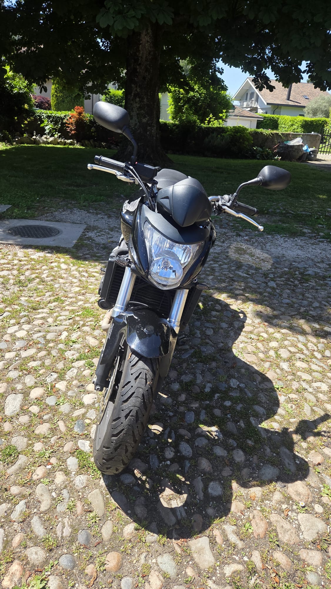 HONDA CB 600 F ABS Hornet-image-2