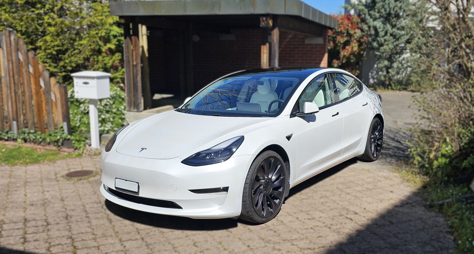 TESLA Performance D-image-3