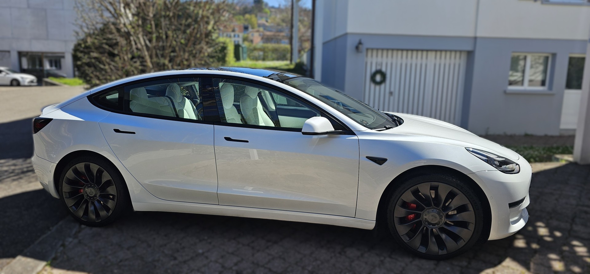 TESLA Performance D-image-2