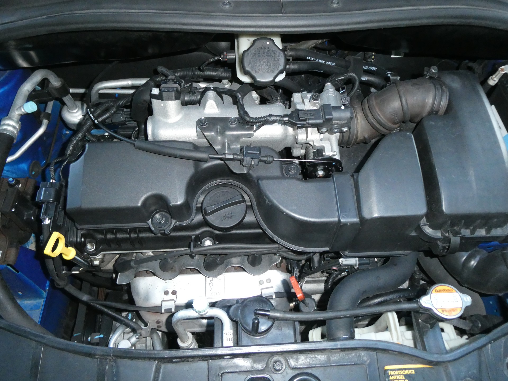 KIA Picanto 1.1 Trend Automatic-image-12