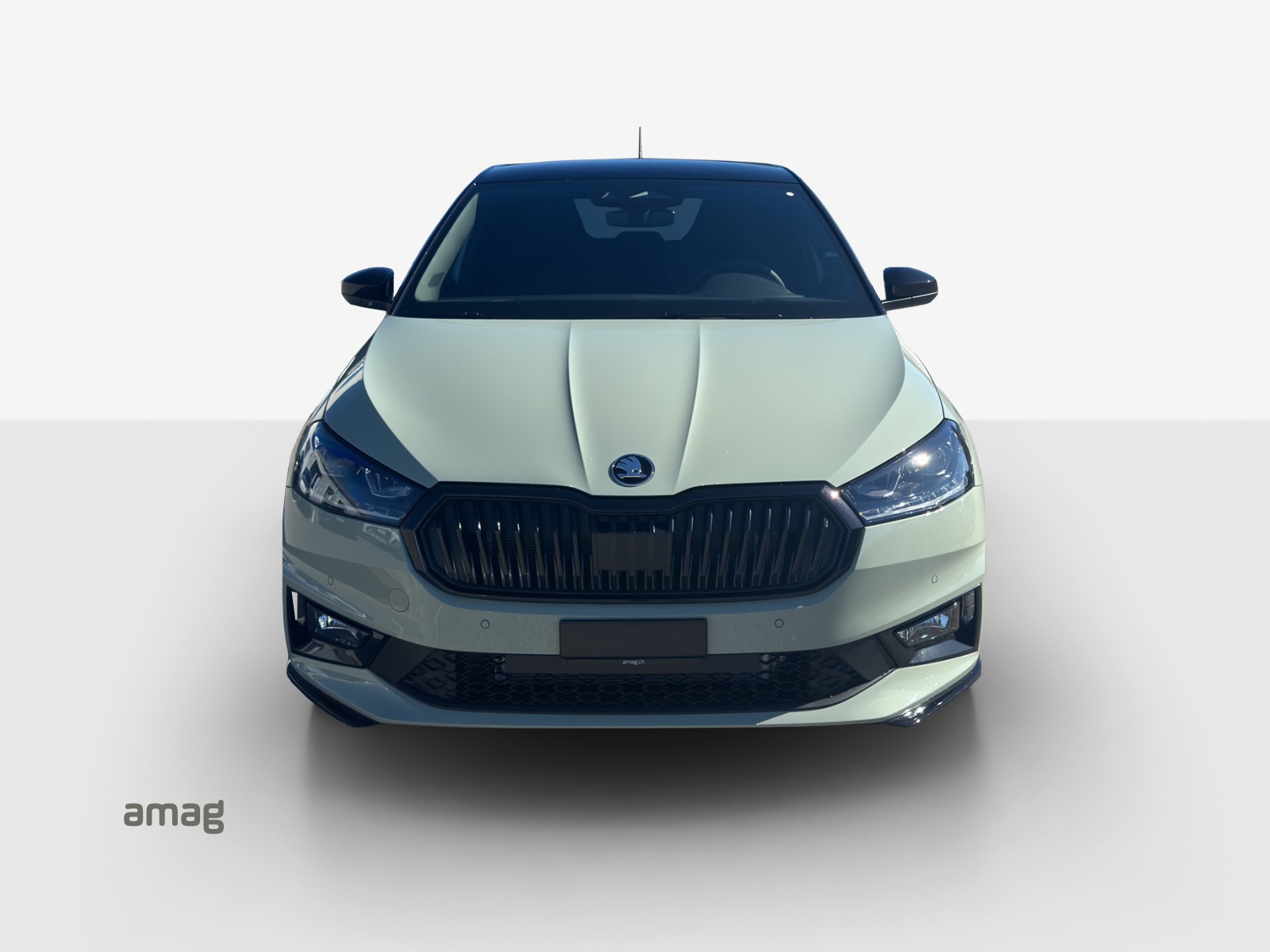 SKODA Fabia Monte Carlo 1.5 TSI 150 PS 7DSG-image-6