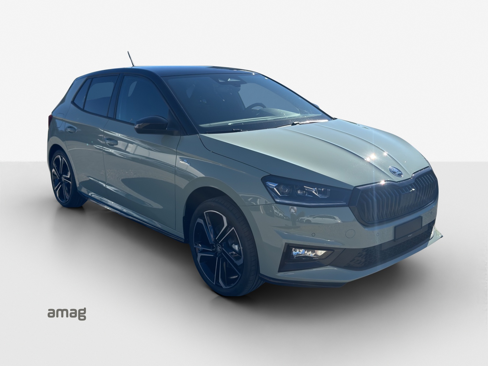 SKODA Fabia Monte Carlo 1.5 TSI 150 PS 7DSG-image-5