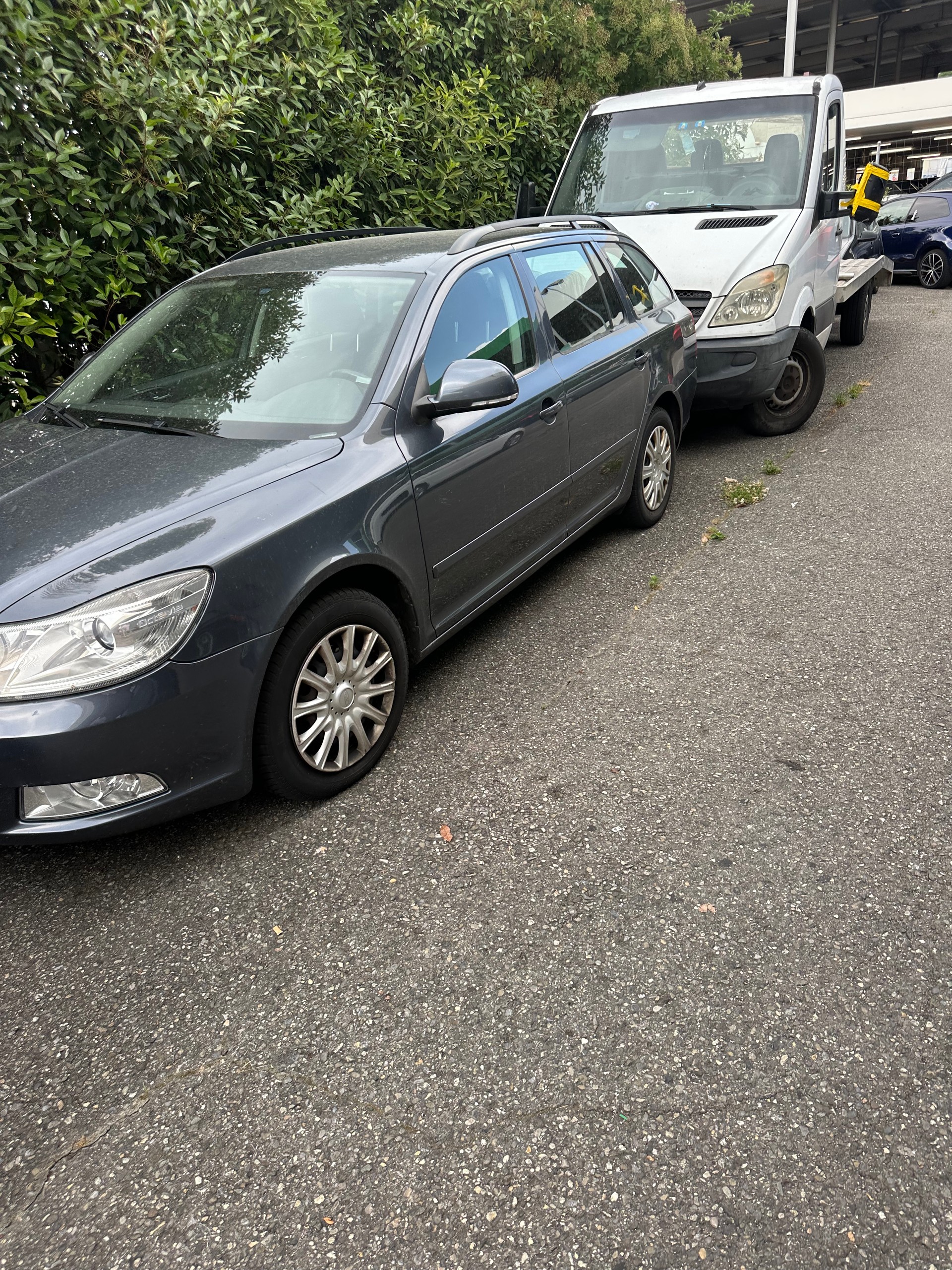 SKODA Octavia Combi 1.6 TDI Ambiente DSG-image-11