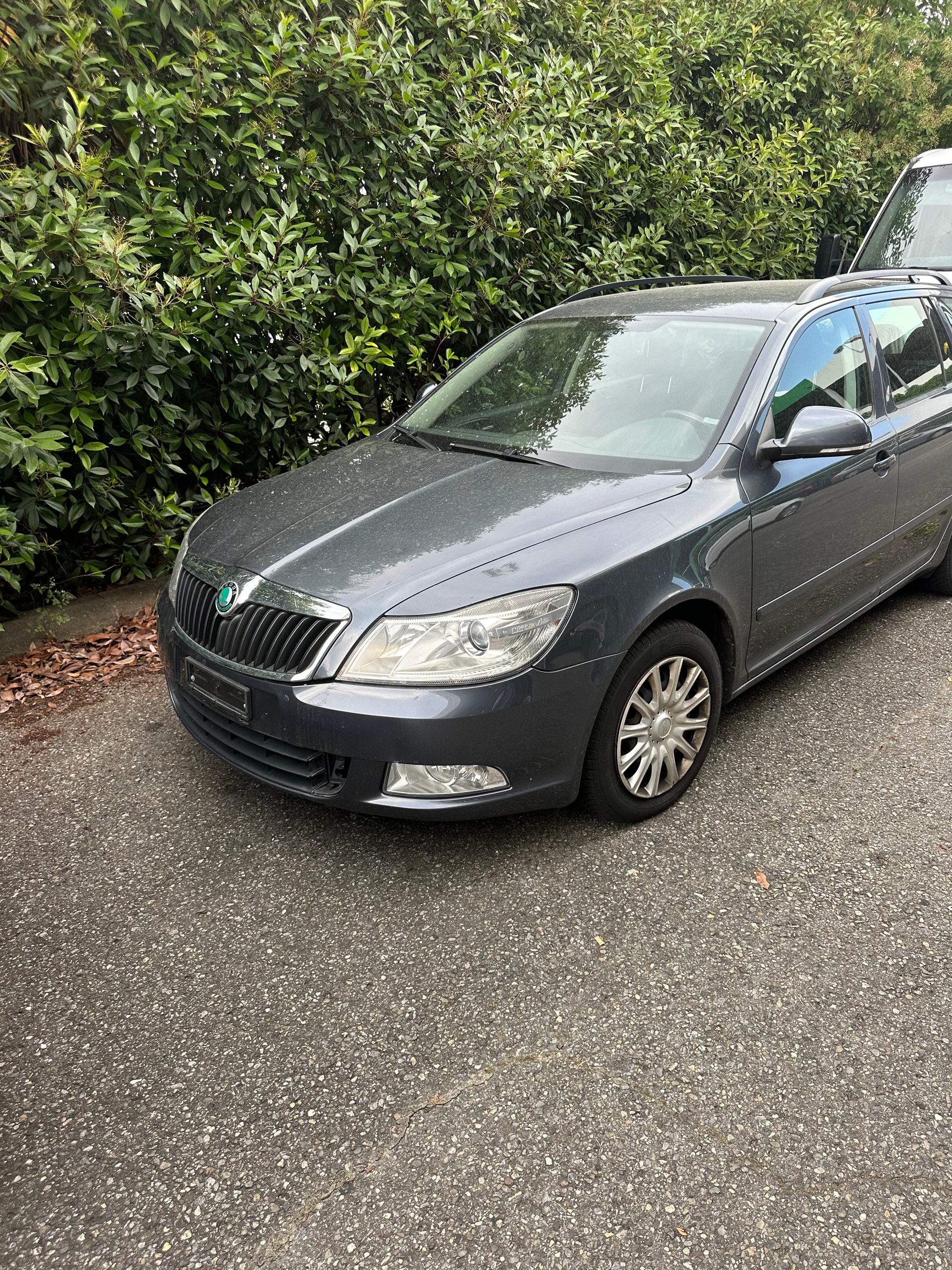 SKODA Octavia Combi 1.6 TDI Ambiente DSG-image-10