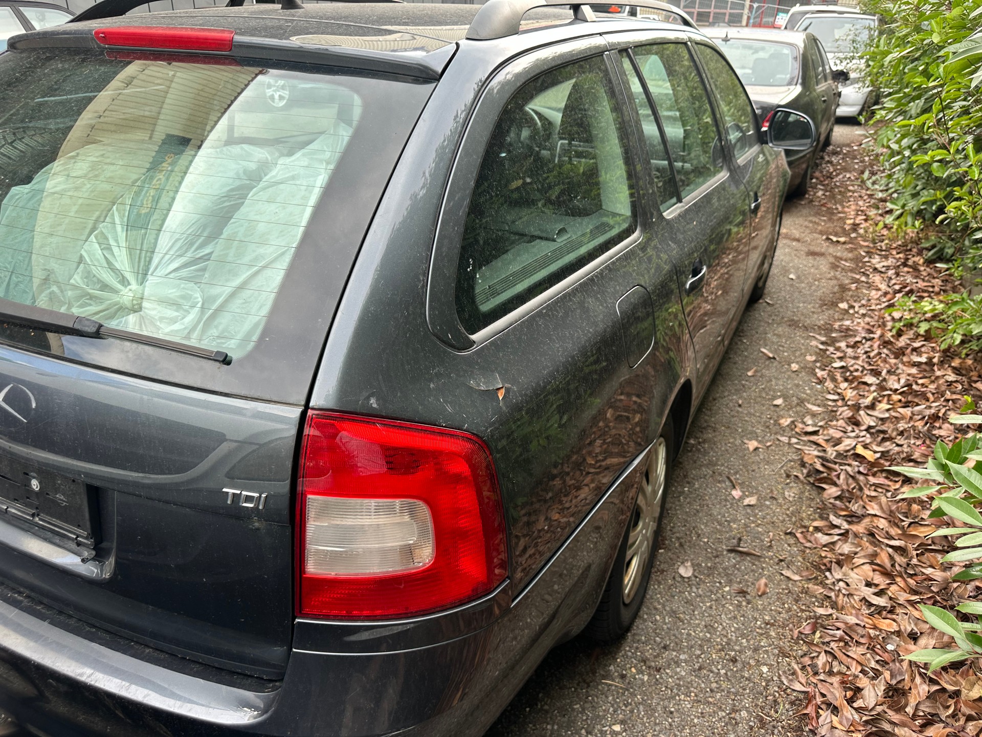 SKODA Octavia Combi 1.6 TDI Ambiente DSG-image-6
