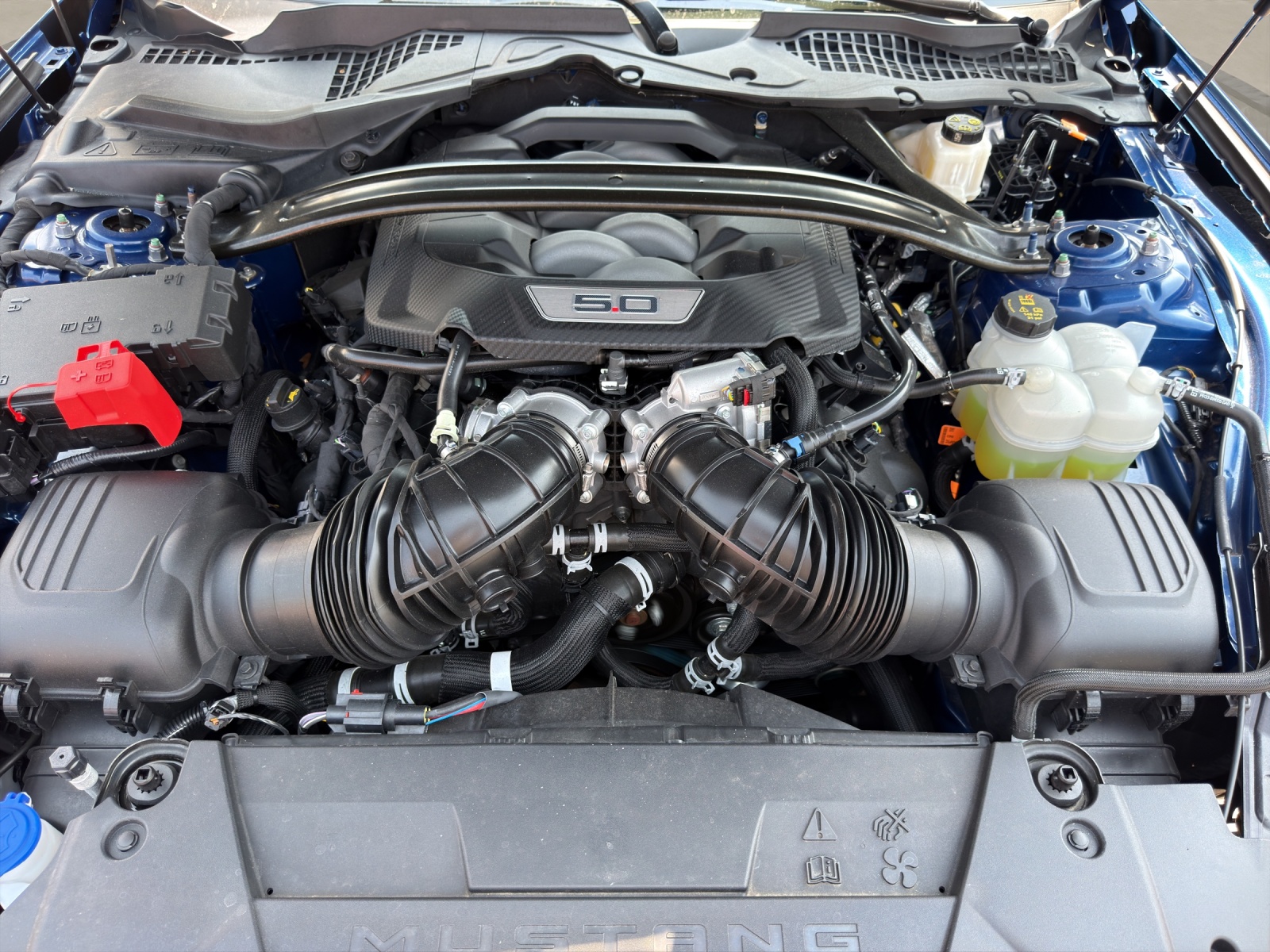 FORD Mustang Fastback 5.0 V8 GT Automat-image-13