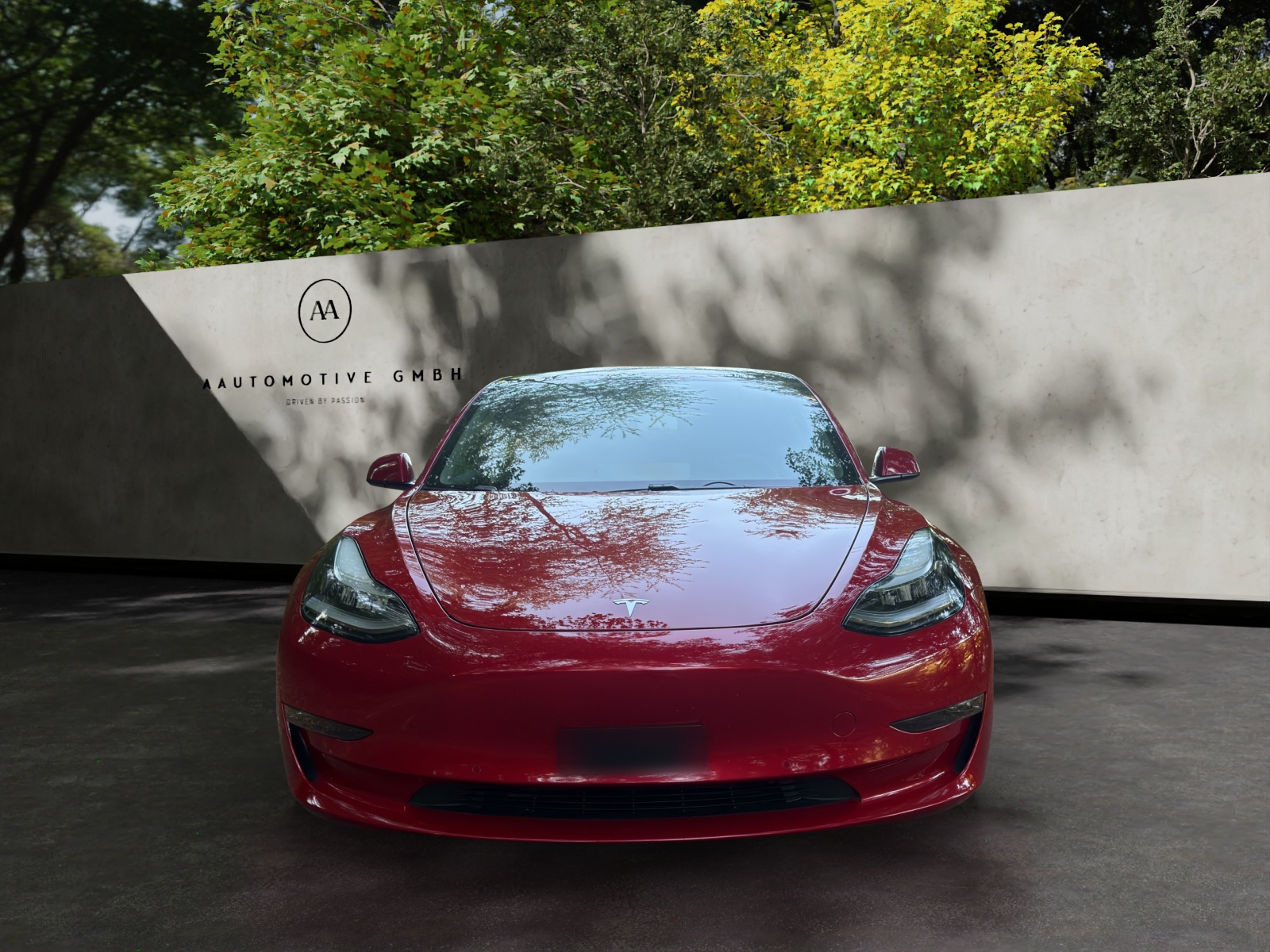 TESLA Model 3 Long Range Dual Motor AWD-image-1