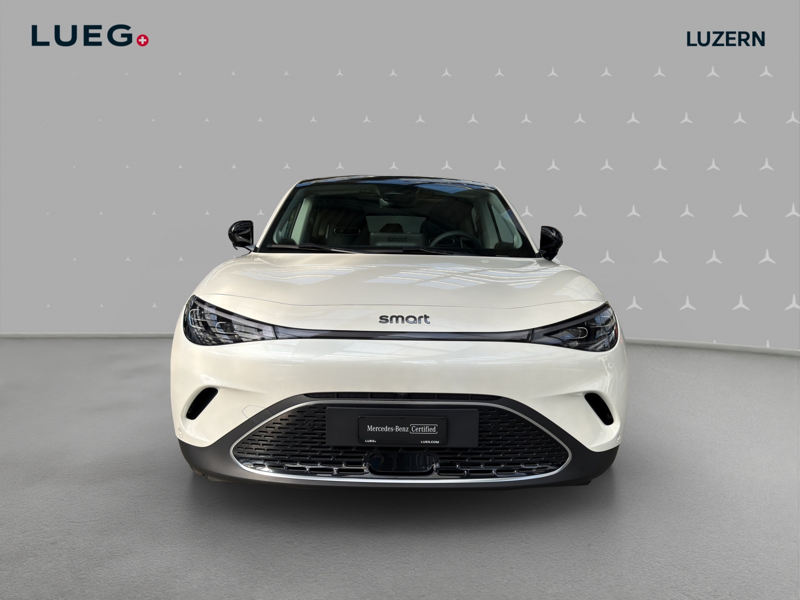 SMART #3 66kWh Premium-image-5