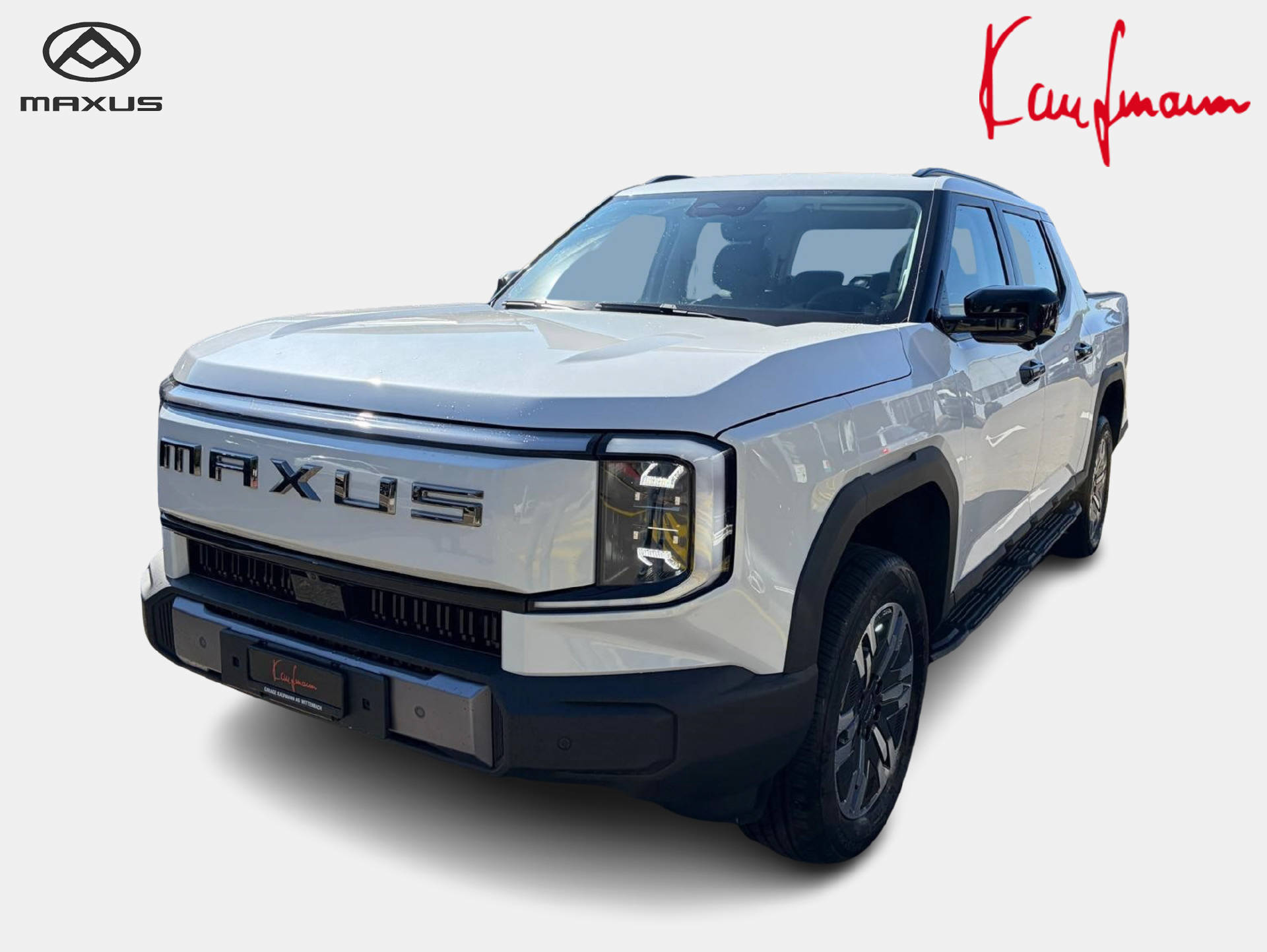MAXUS eTerron 9 E-Motor 102kWh Premium-image-2