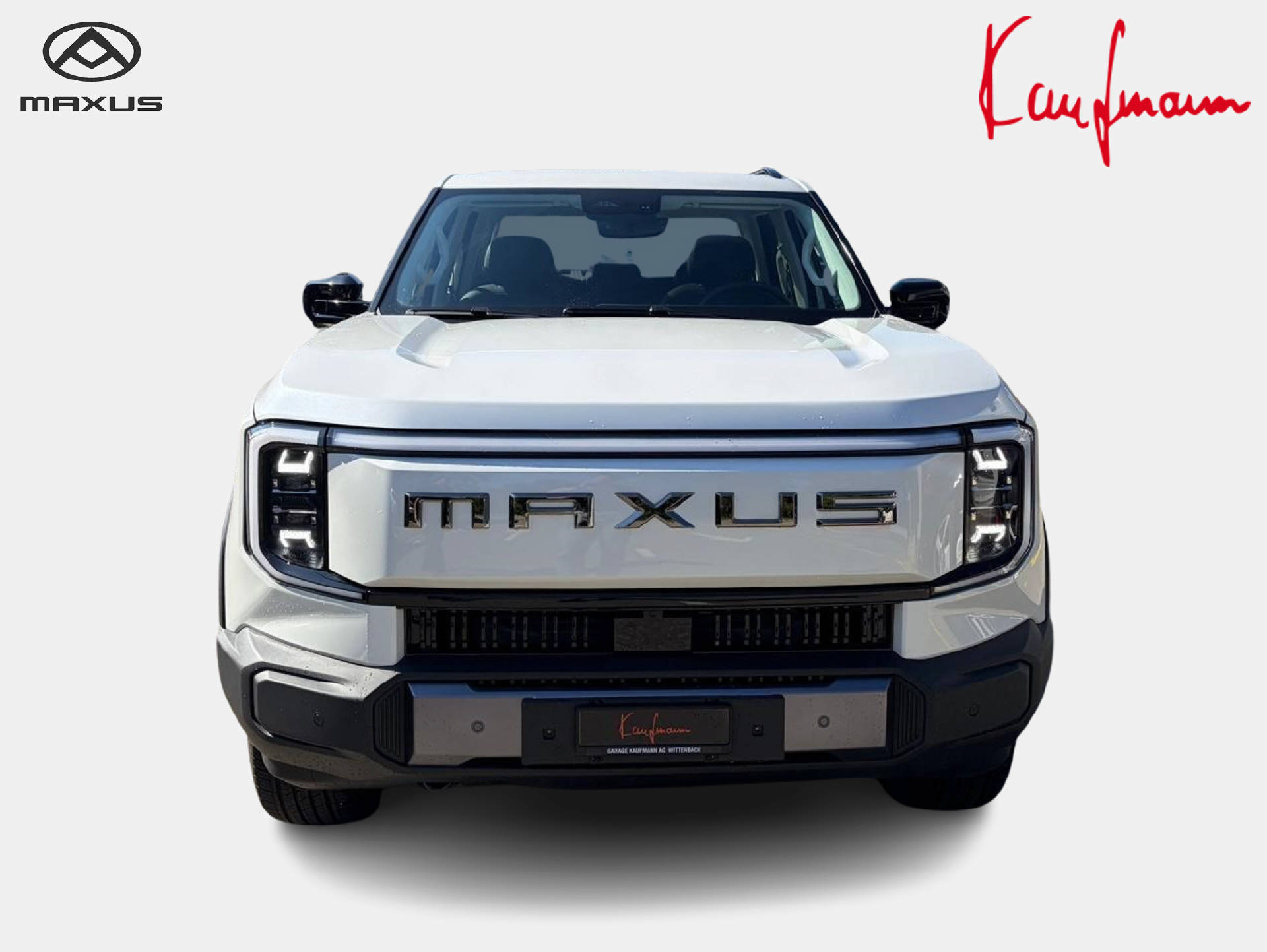 MAXUS eTerron 9 E-Motor 102kWh Premium-image-1