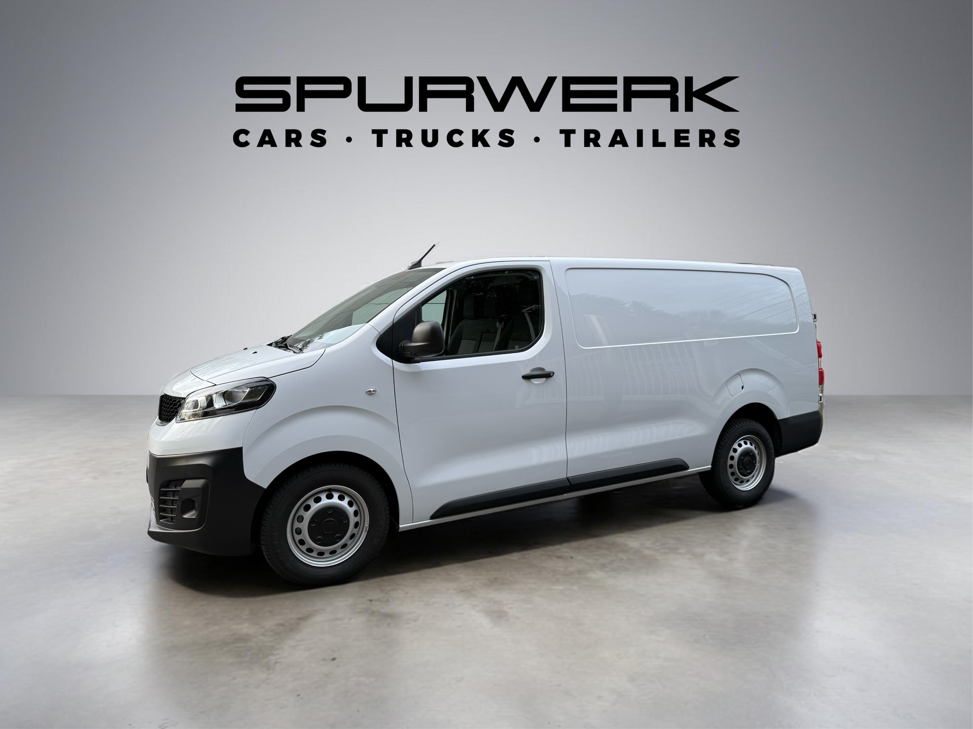 FIAT Scudo 2.0 MJ L3 Holzboden-showroom-element-2