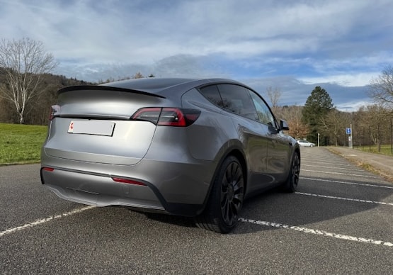 TESLA Model Y Performance-image-3