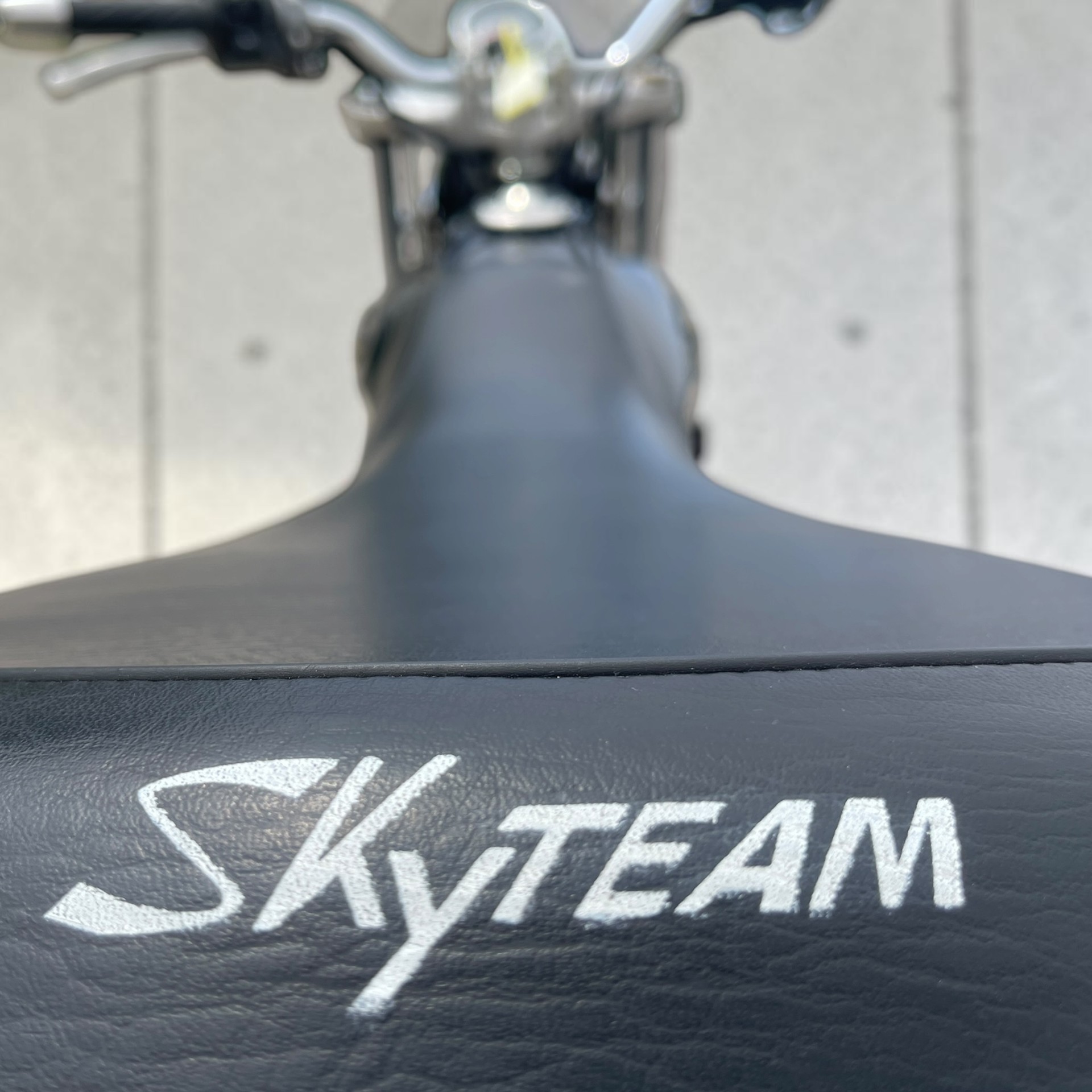 SKYTEAM V-Raptor 250-image-8