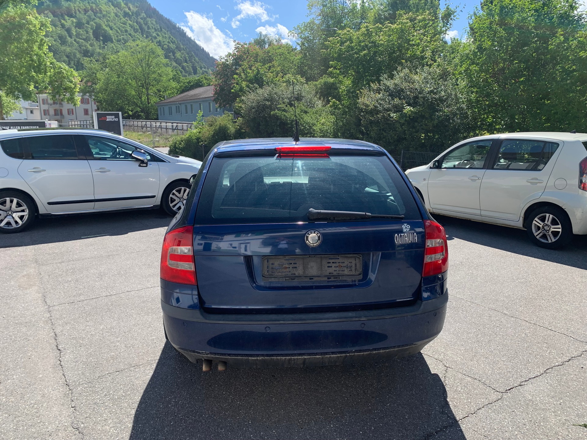 SKODA Octavia 1.9 TDI Swiss Adventure 4x4-image-4