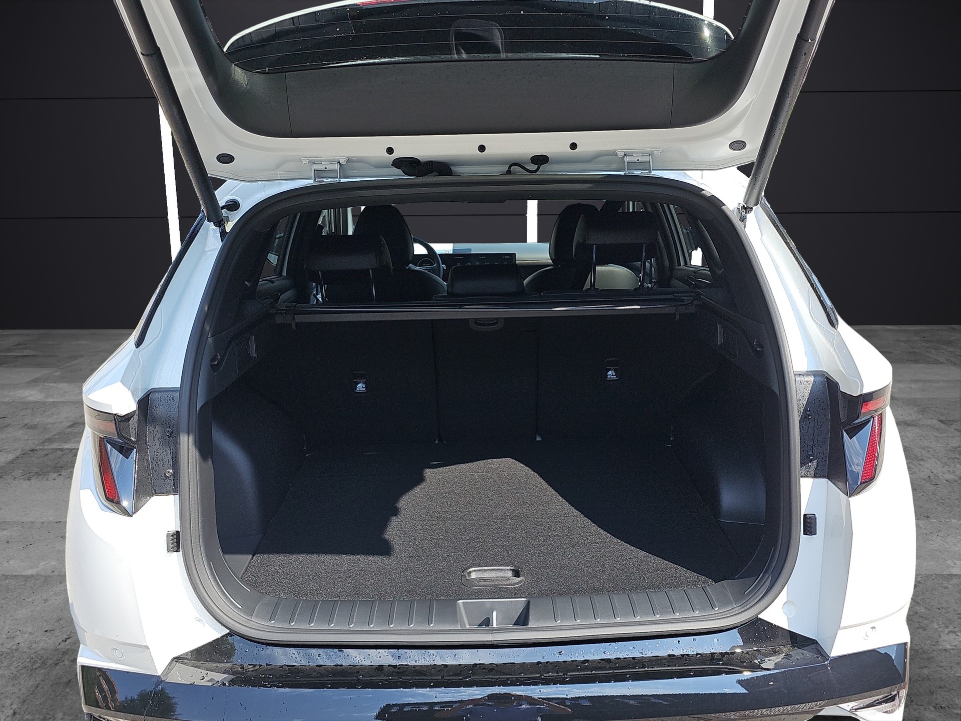 HYUNDAI Tucson 1.6 T-GDi HEV N-Line 4WD-image-12