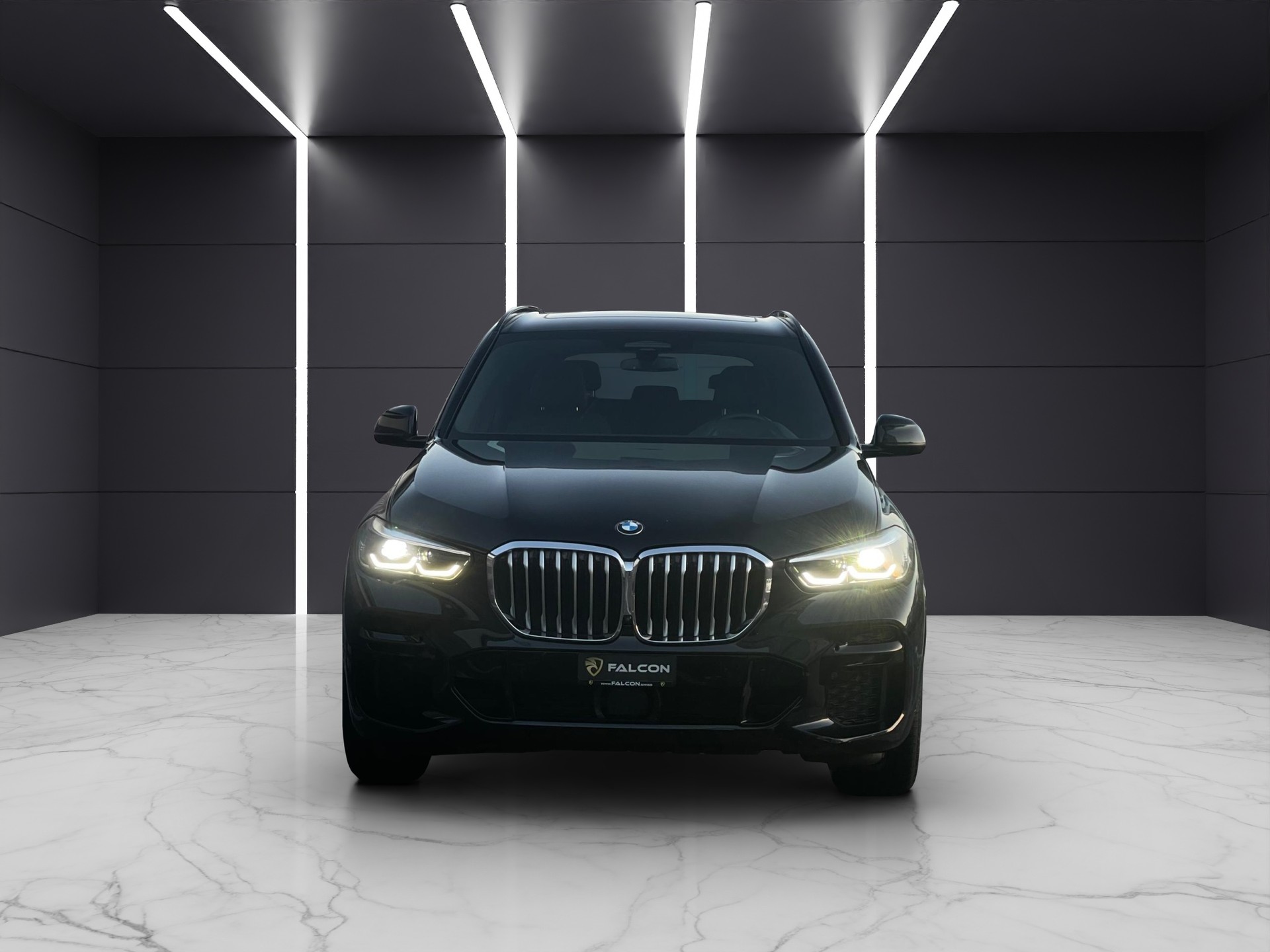 BMW X5 xDrive 48V 30d M Sport Steptronic-showroom-element-1