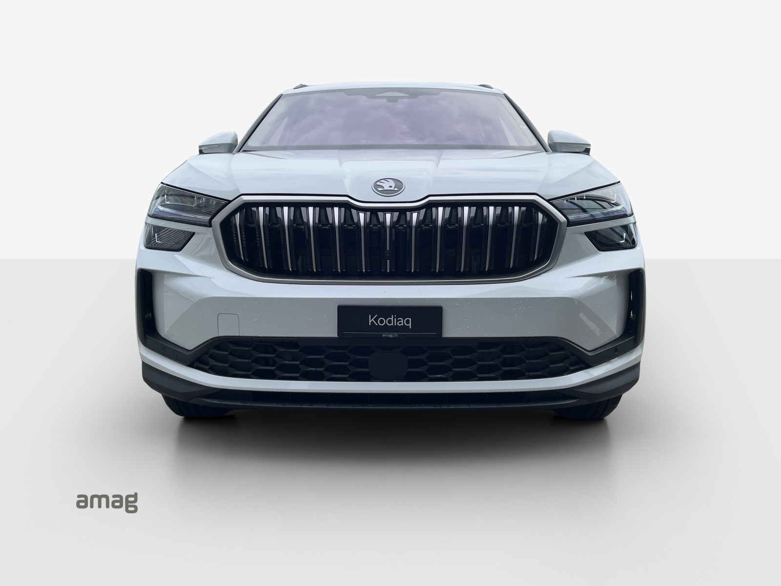 SKODA Kodiaq Dynamic 2.0TDI 193PS 7DSG4x4-image-6