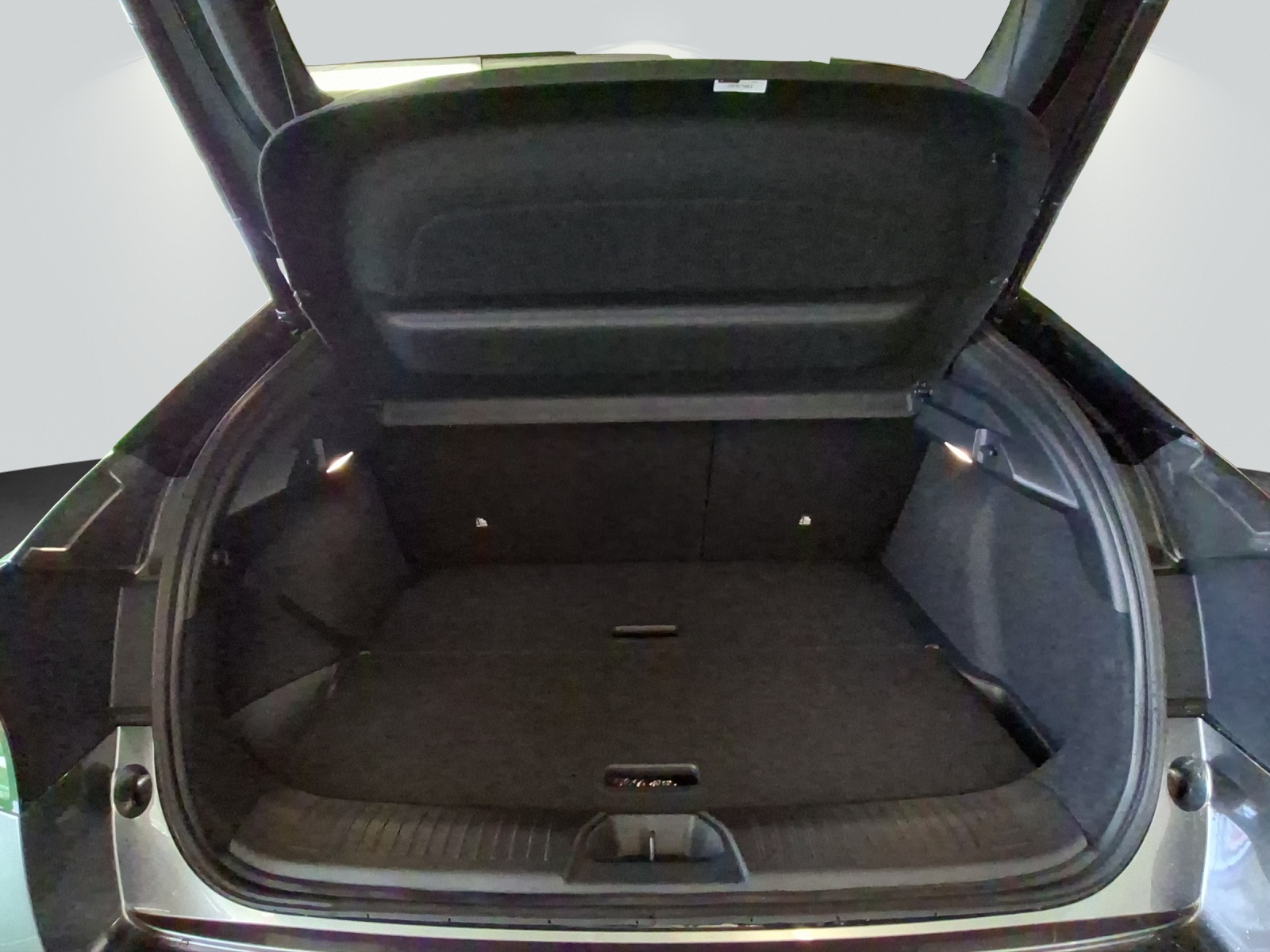 NISSAN Leaf 75 kWh Evolve-image-14