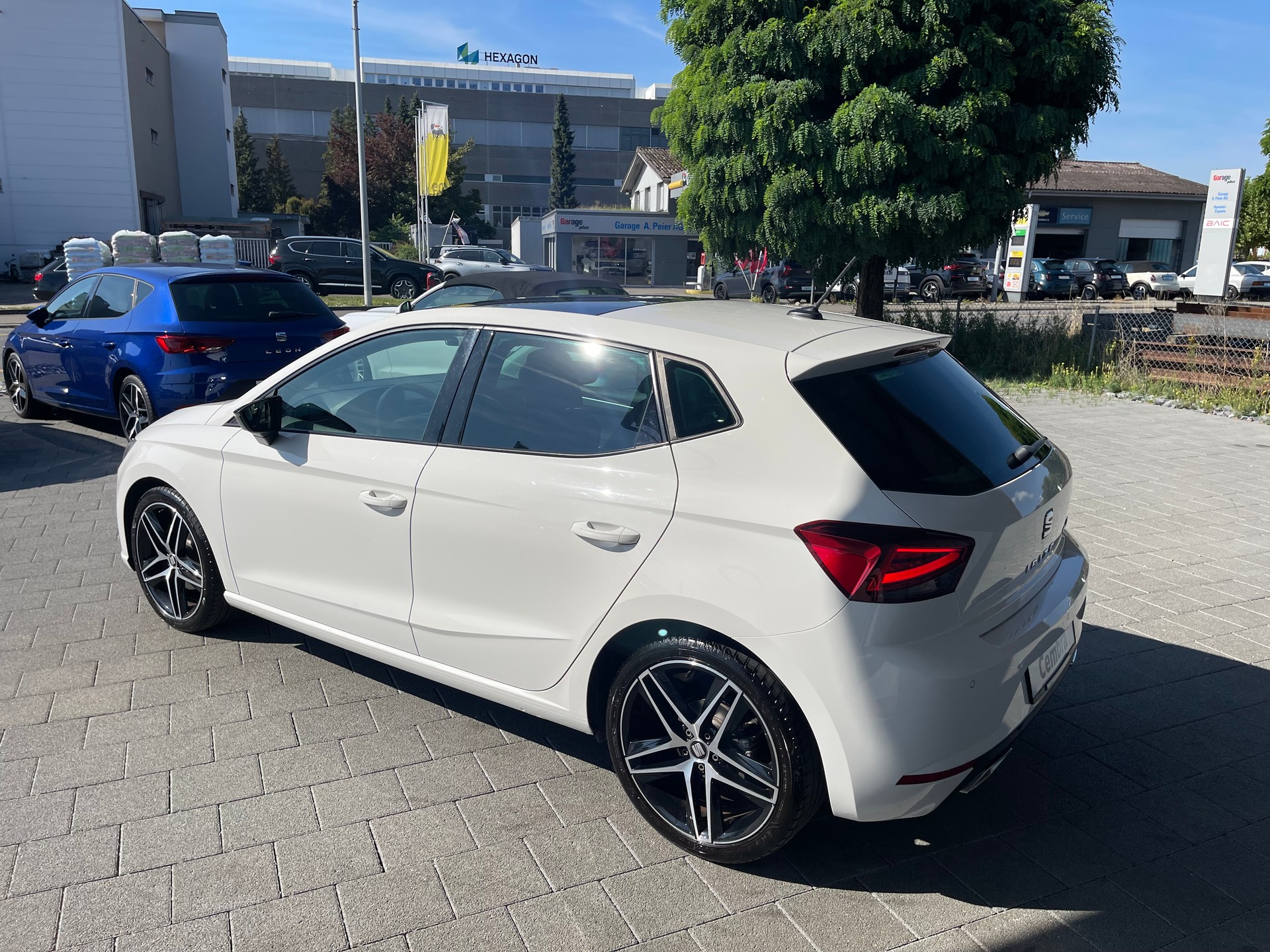SEAT Ibiza 1.0 EcoTSI DSG Swiss FR-image-6