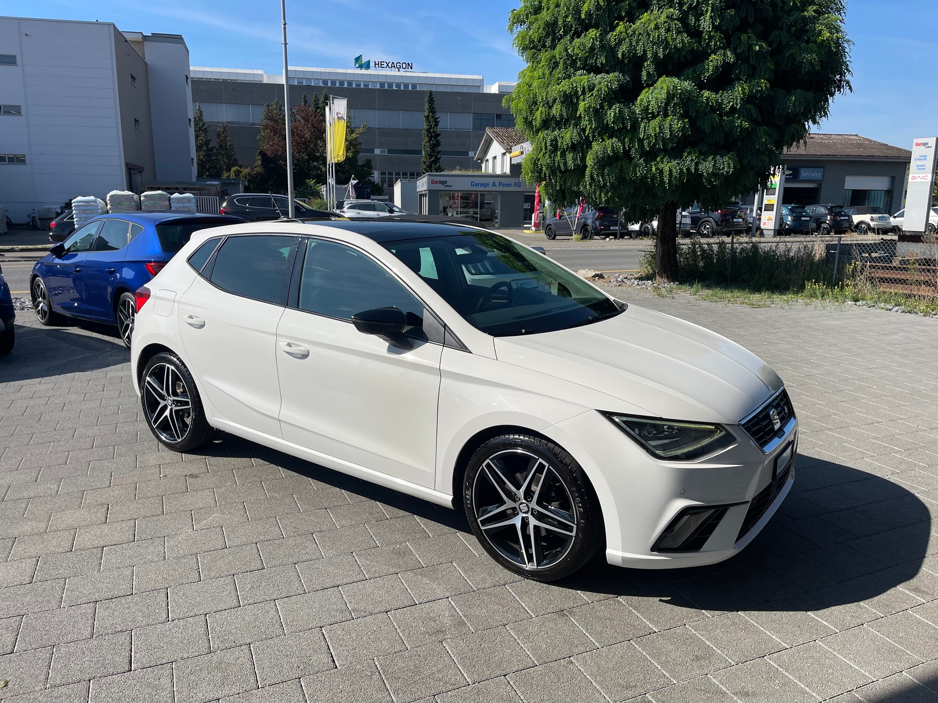 SEAT Ibiza 1.0 EcoTSI DSG Swiss FR-image-3