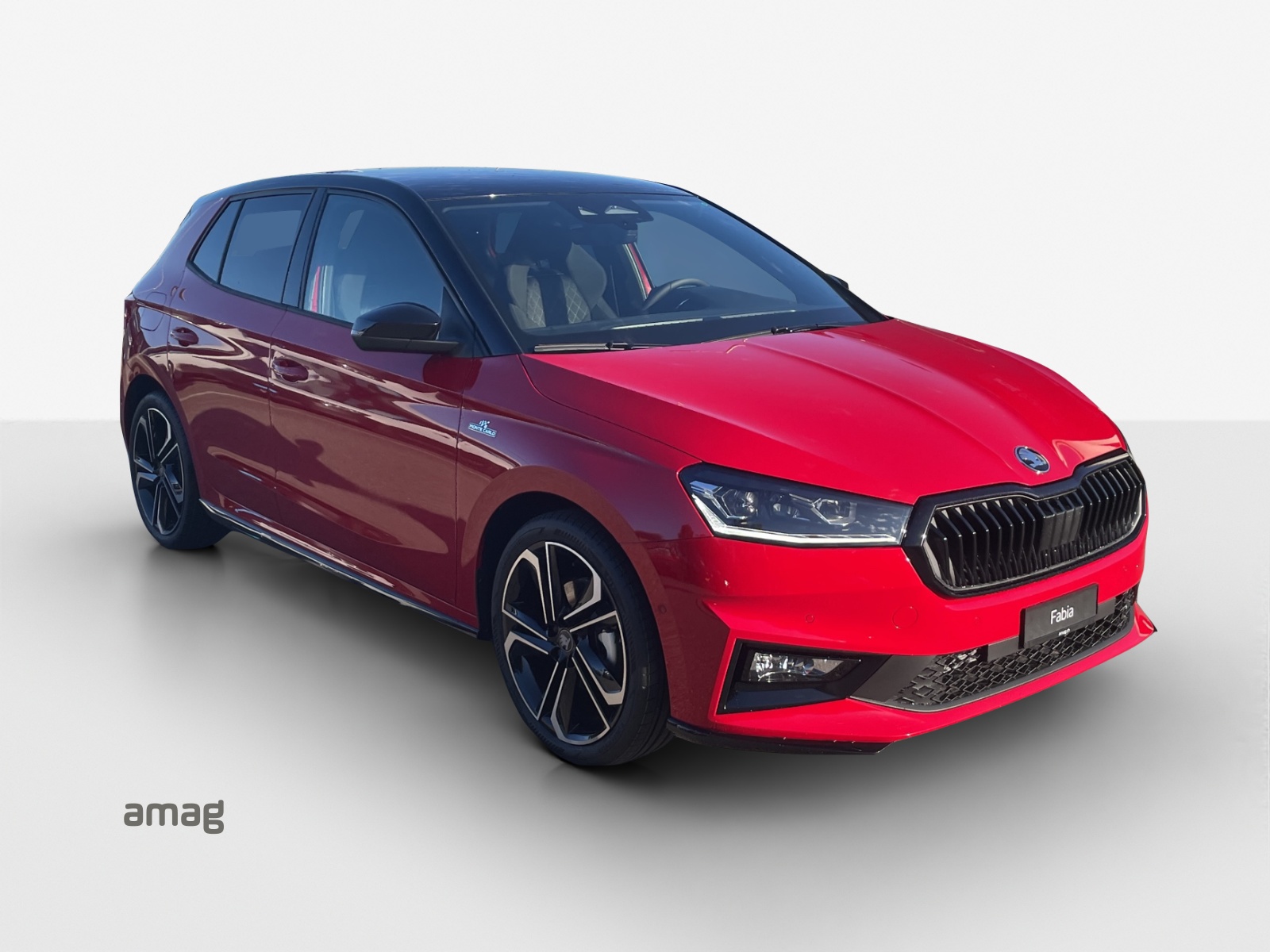 SKODA Fabia 1.5 TSI Monte Carlo DSG-image-5