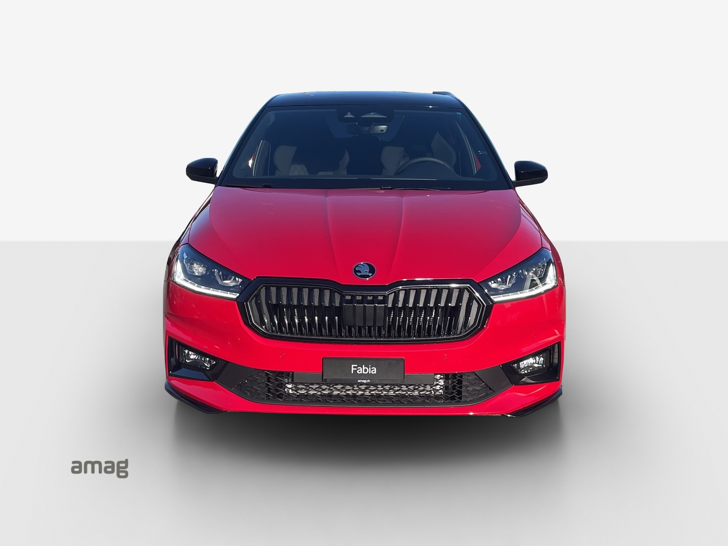 SKODA Fabia 1.5 TSI Monte Carlo DSG-image-6