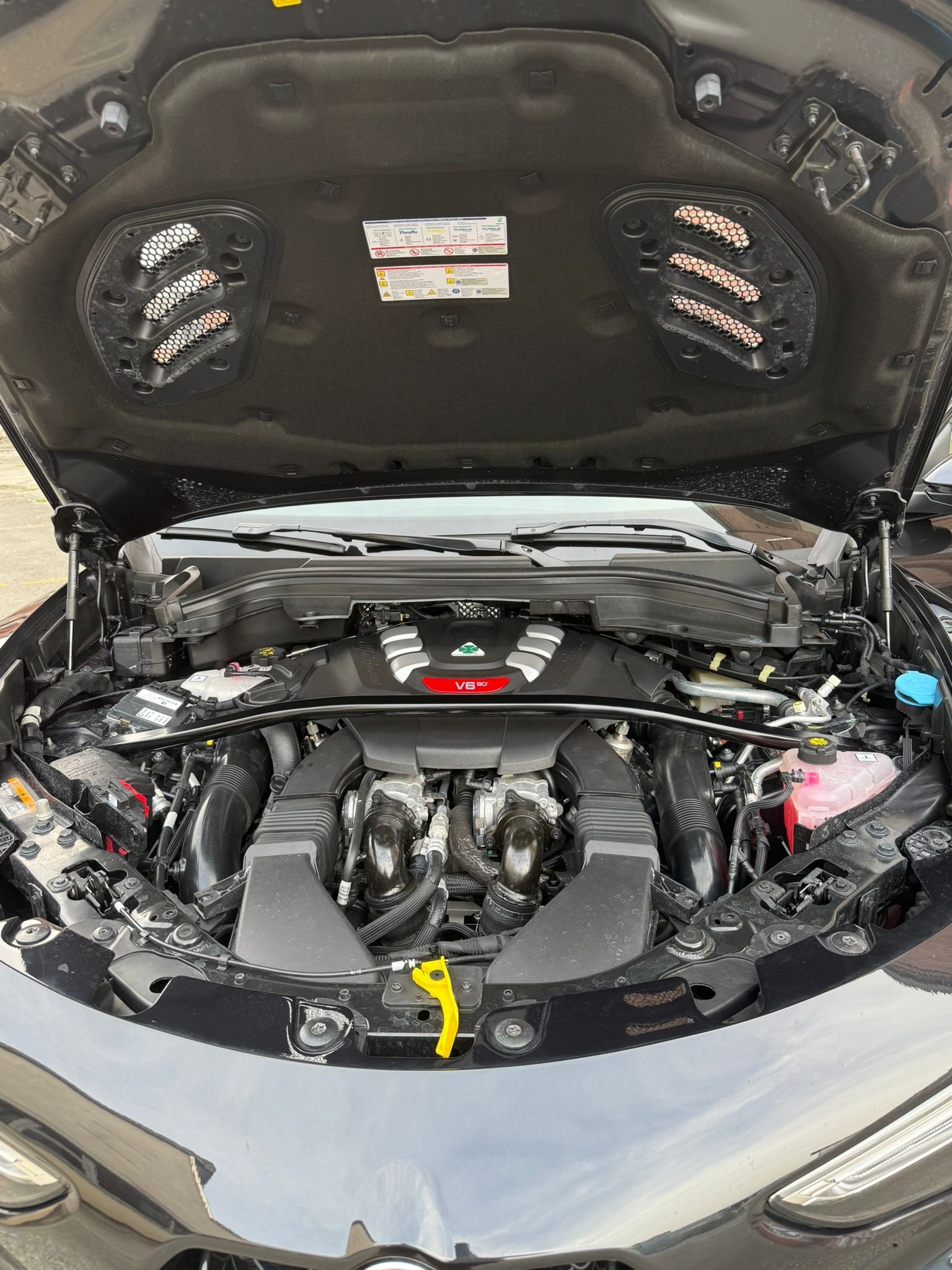 ALFA ROMEO Stelvio 2.9 V6 Quadrifoglio Q4 Automatic-image-3