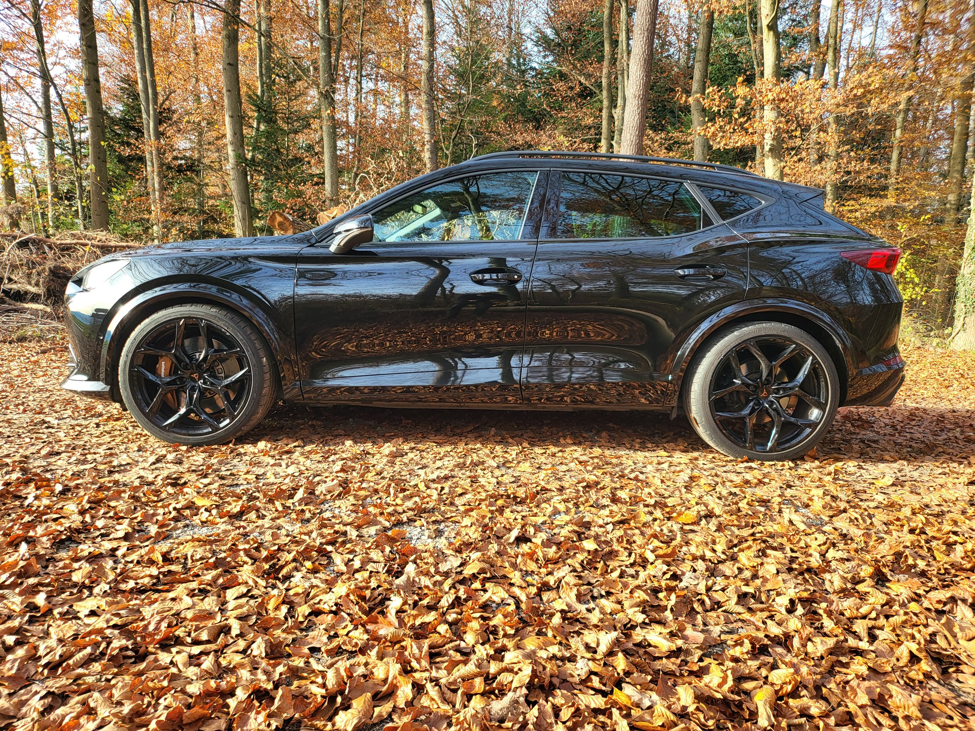 CUPRA Formentor 2.5TSI VZ5 4Drive DSG [Alle Fahrzeugteile in Schwarz, Tieferlegung, Distanzscheiben]-image-3