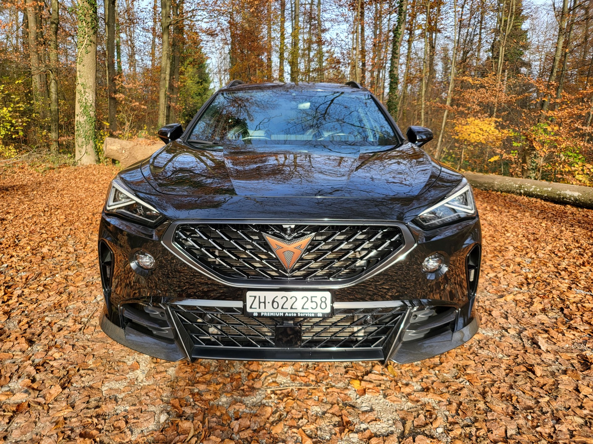 CUPRA Formentor 2.5TSI VZ5 4Drive DSG [Alle Fahrzeugteile in Schwarz, Tieferlegung, Distanzscheiben]-image-1