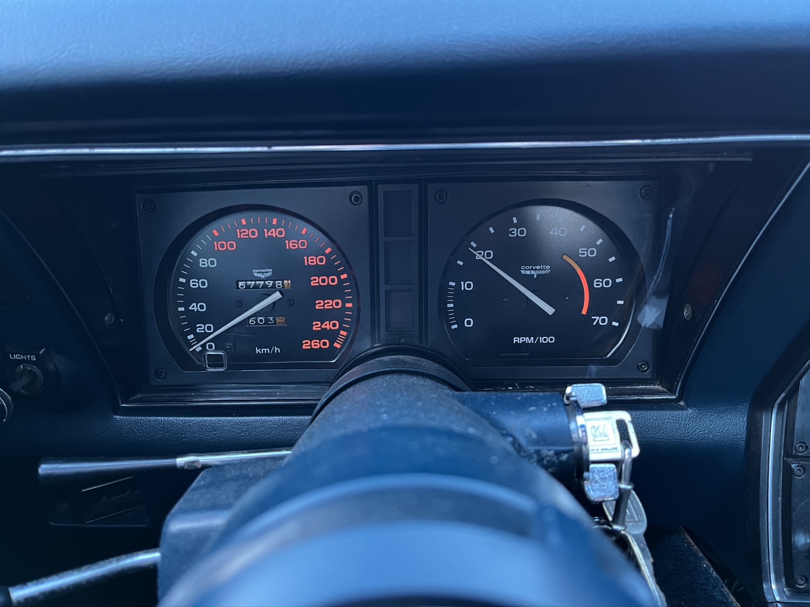 CHEVROLET Corvette Targa C3-image-13