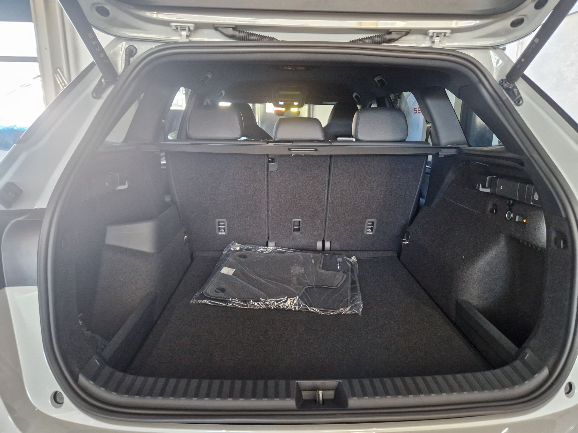SKODA Kodiaq 2.0 TSI RS 4x4-image-7