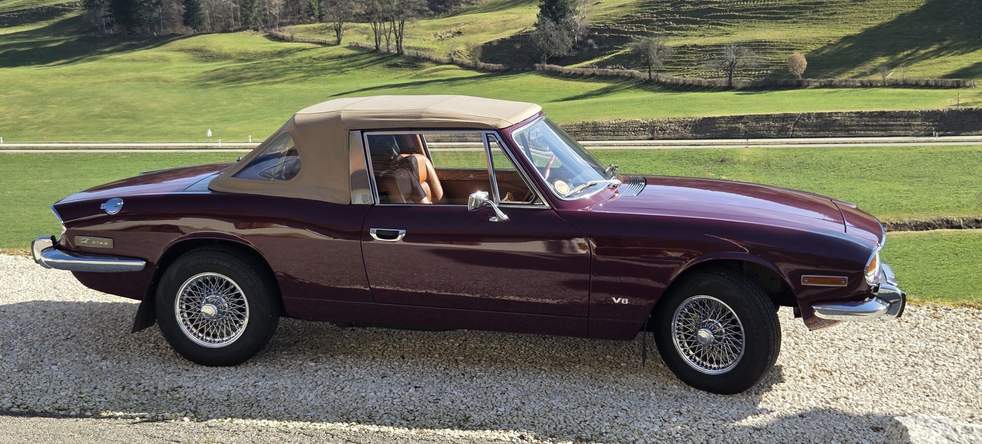 TRIUMPH Stag-image-1