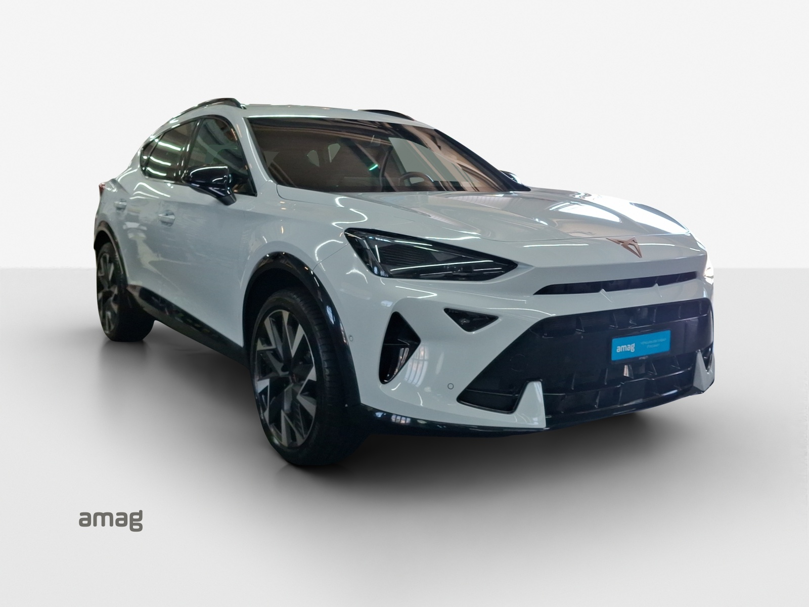 CUPRA Formentor 1.4 e-HYBRID pHEV Tribe Edition DSG-image-6