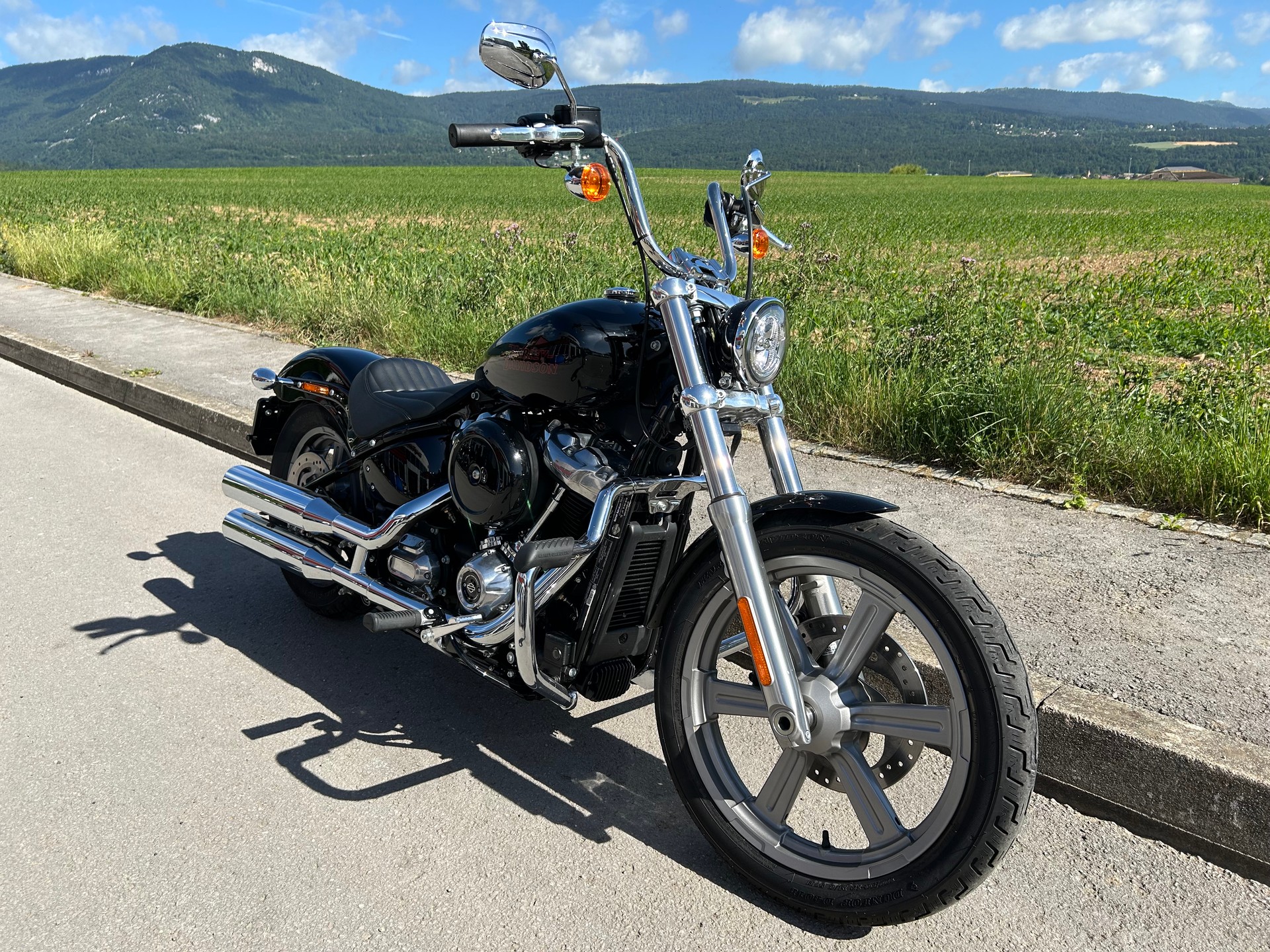 HARLEY-DAVIDSON FXST Softail Standard 107