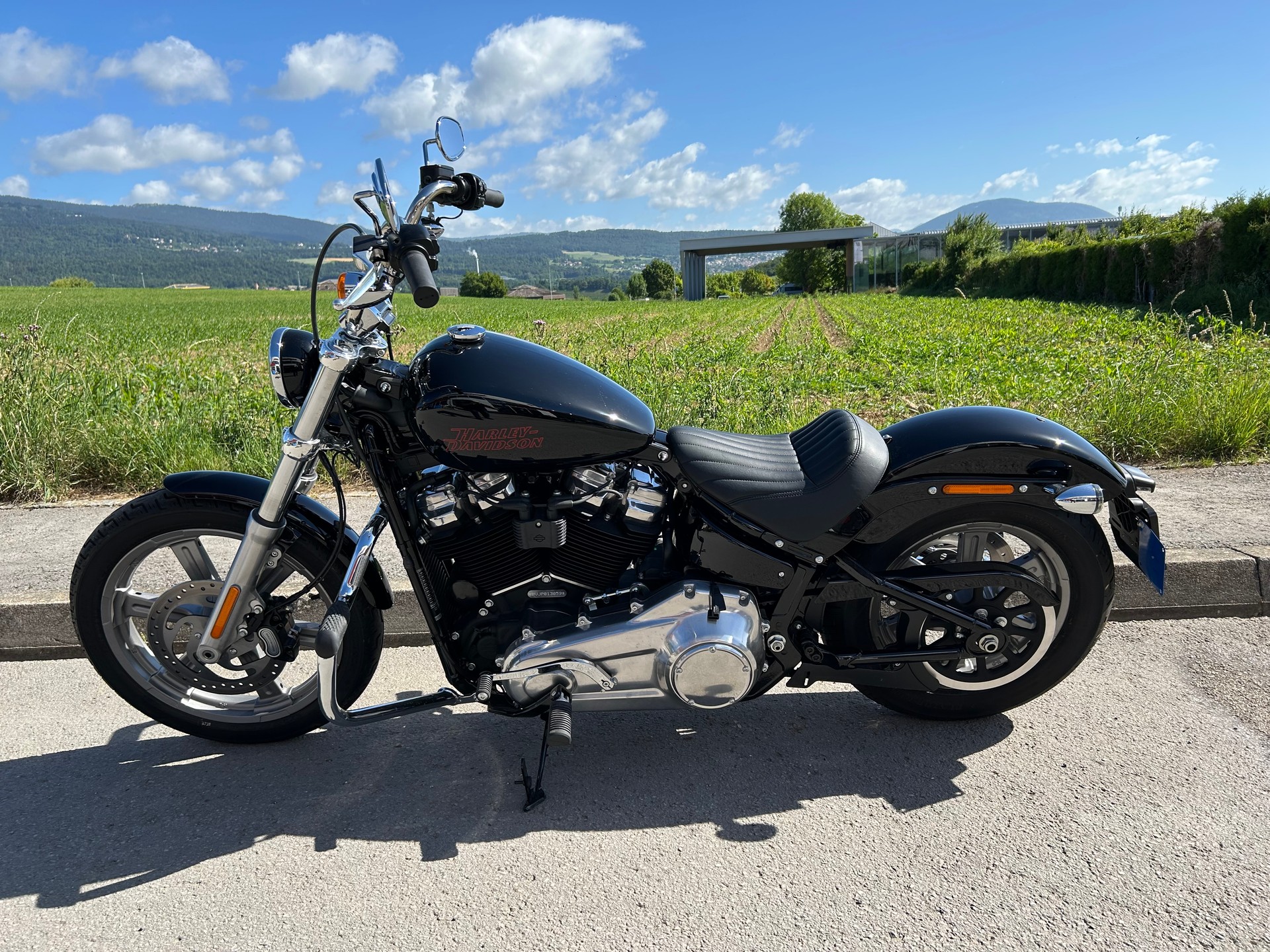 HARLEY-DAVIDSON FXST Softail Standard 107-image-4