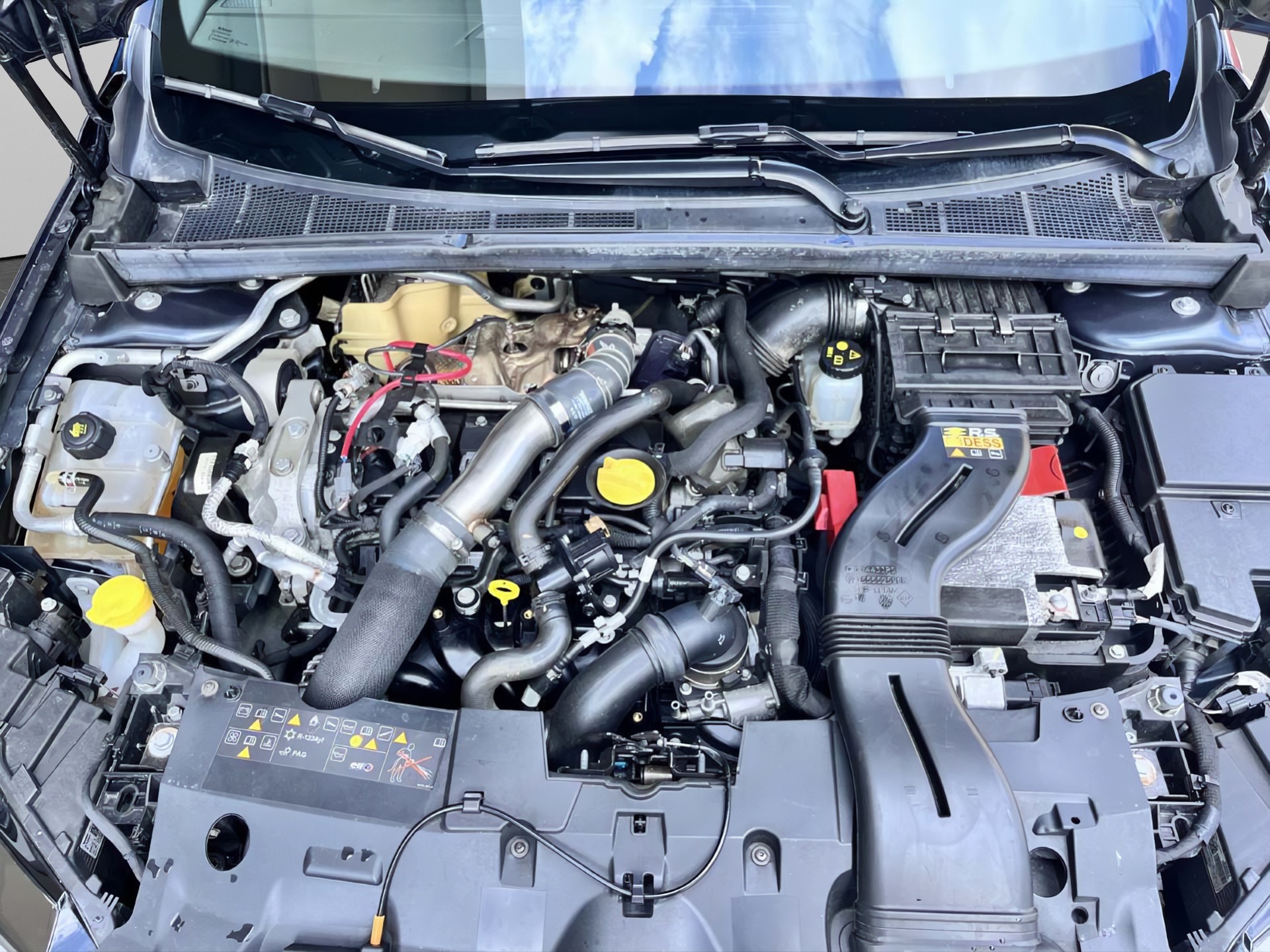 RENAULT Mégane Sport 1.8 T Trophy-image-17