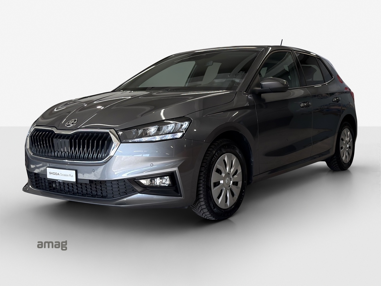 SKODA Fabia 1.0 TSI Selection DSG-image-0