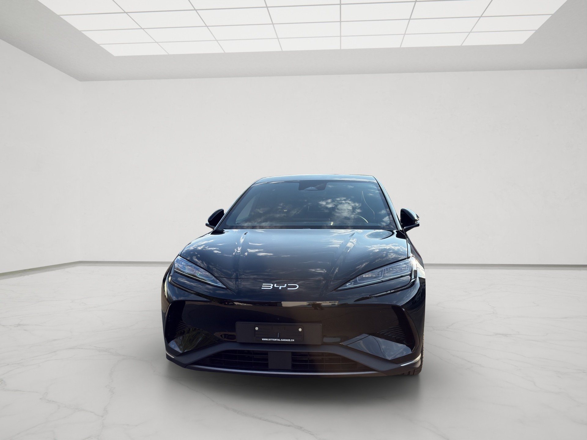 BYD Sealion 7 91,3 kWh Excellence AWD-image-1