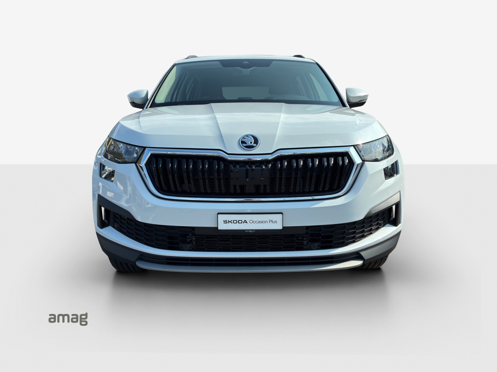 SKODA Kodiaq 2.0 TDI CR Ambition 4x4 DSG-image-6