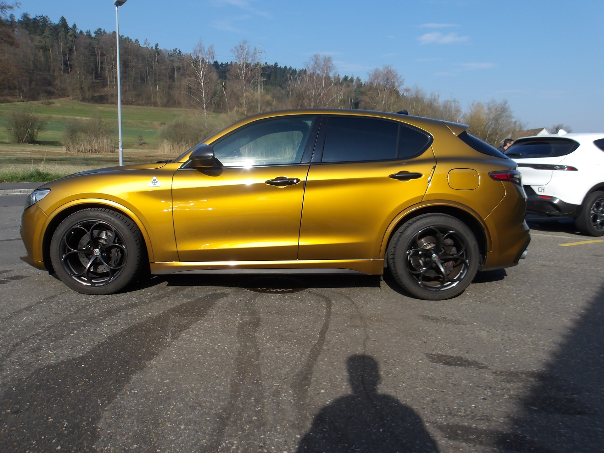 ALFA ROMEO Stelvio 2.9 V6 Quadrifoglio Sky Q4-image-1