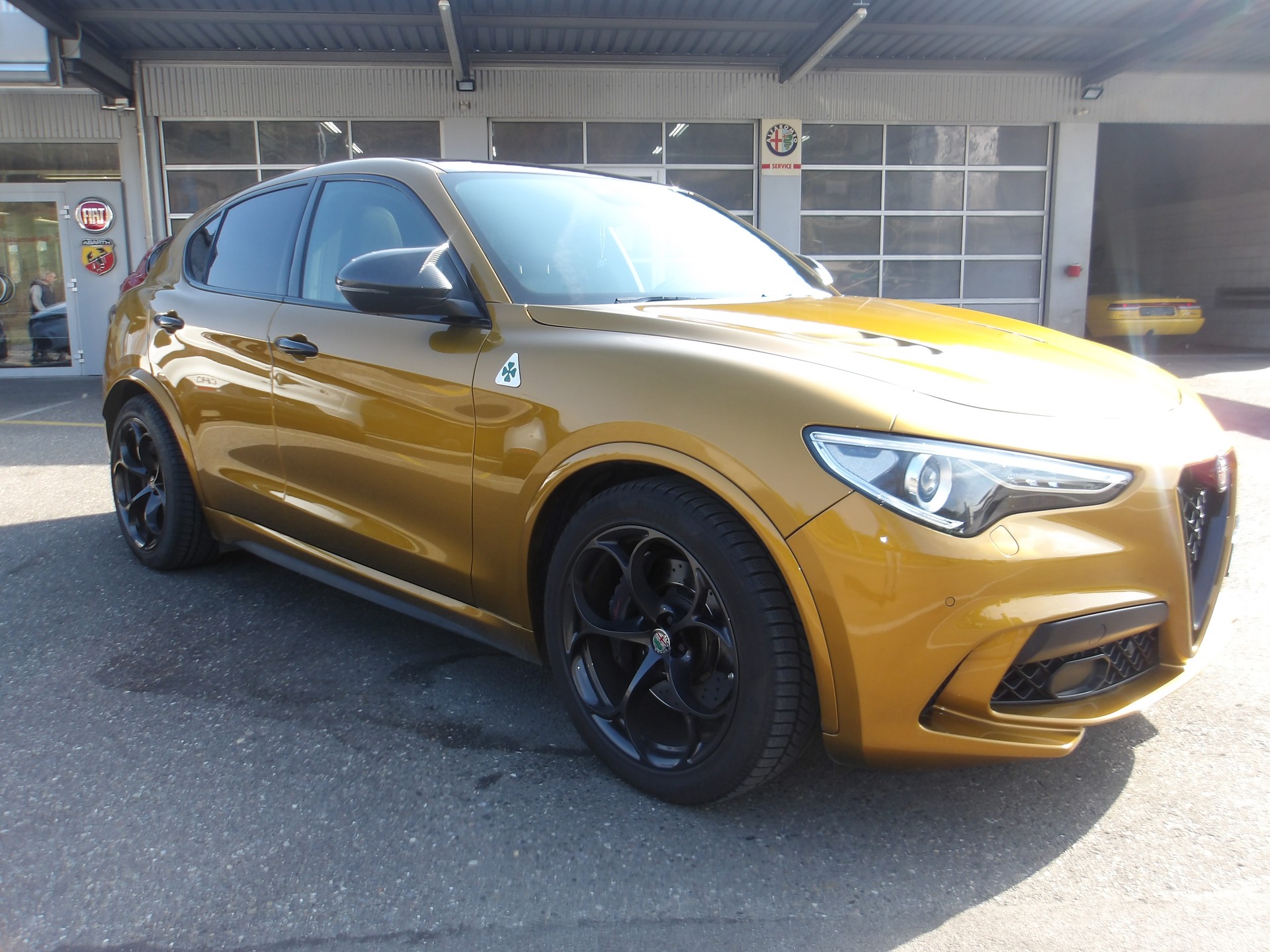 ALFA ROMEO Stelvio 2.9 V6 Quadrifoglio Sky Q4-image-6