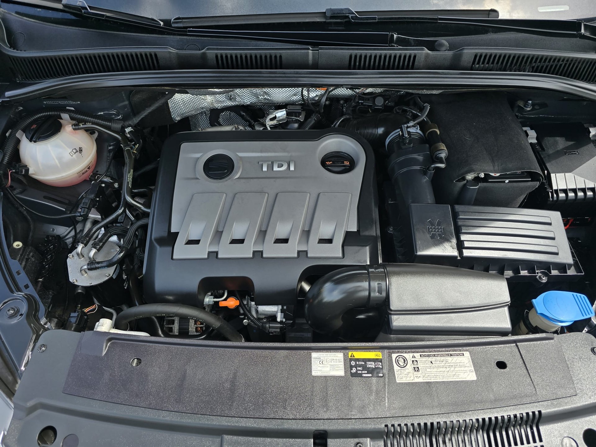 SEAT Alhambra 2.0 TDI Reference Eco DSG-image-15