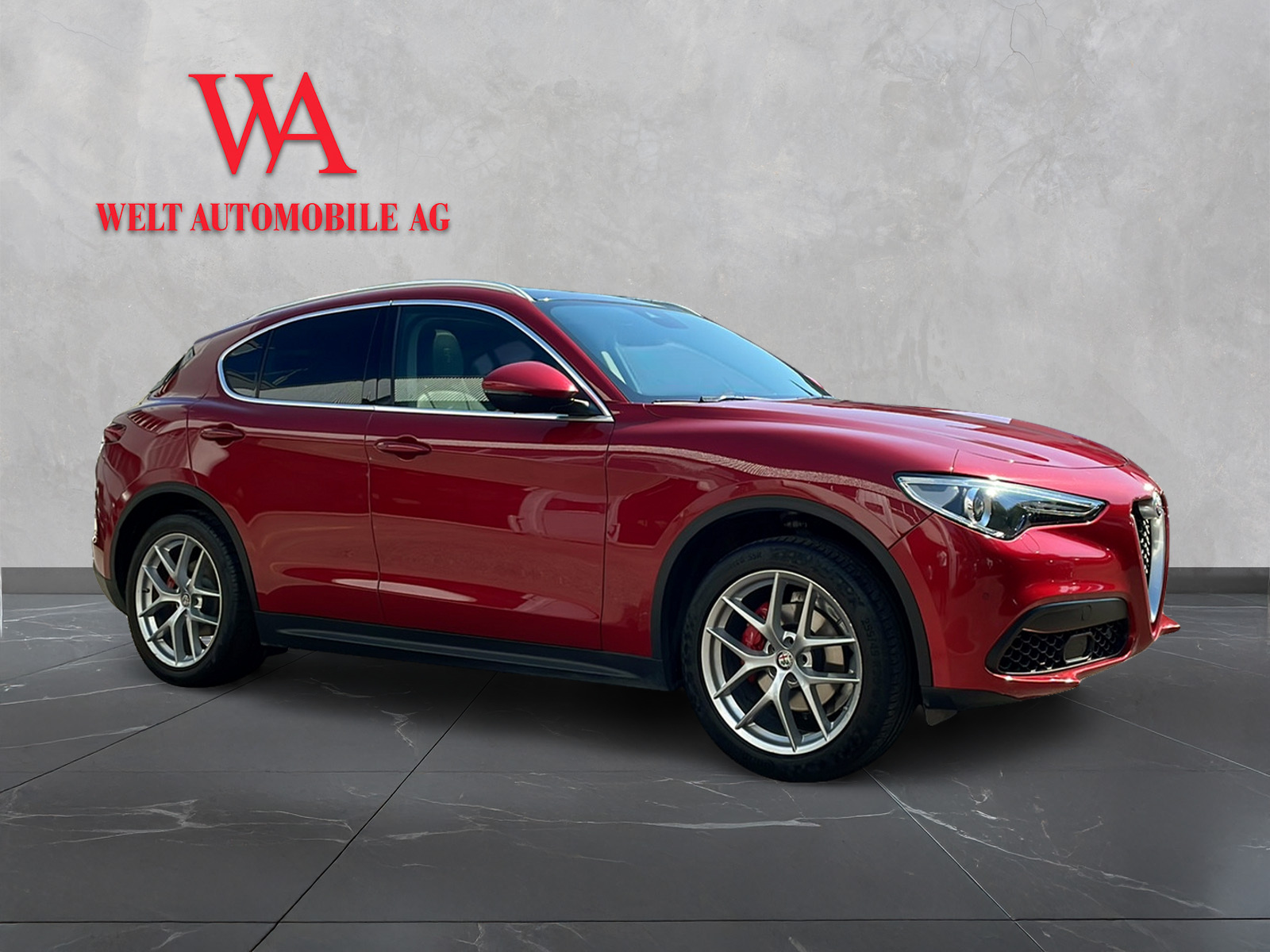ALFA ROMEO Stelvio 2.0 First Edition Q4 Automatic-image-6