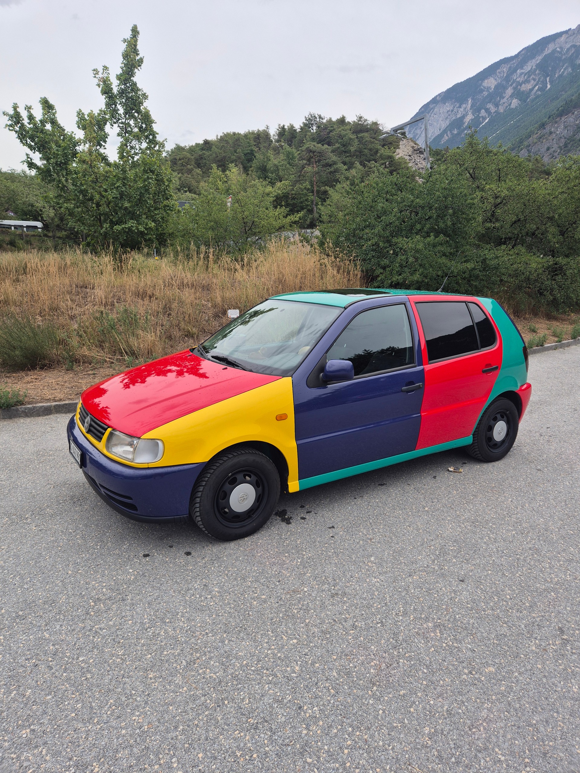 VW Polo Harlekin