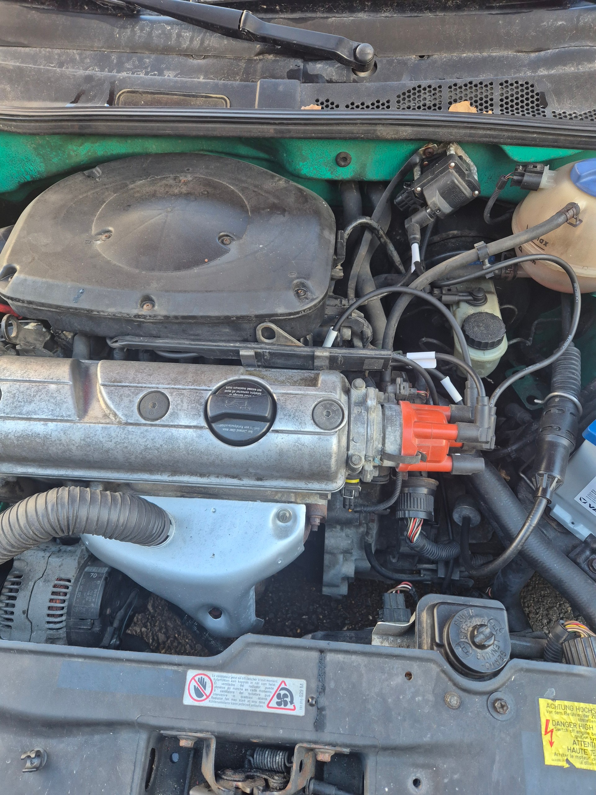 VW Polo Harlekin-image-4
