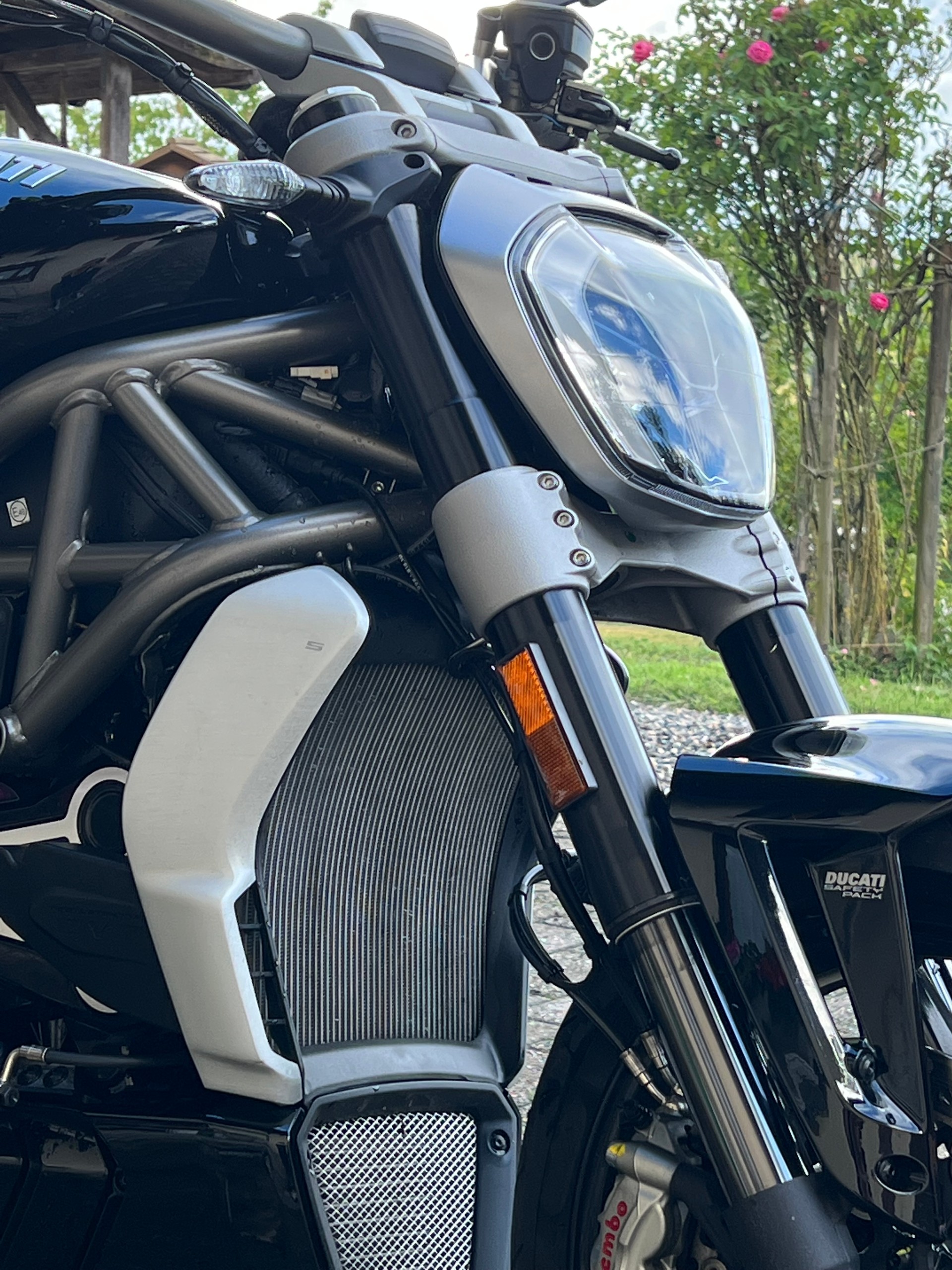 DUCATI XDiavel 1260 S-image-1