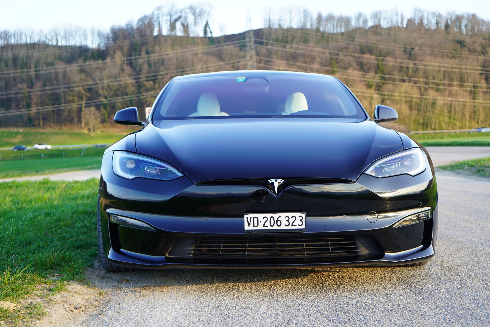 TESLA Model S 100 kWh Plaid-image-1